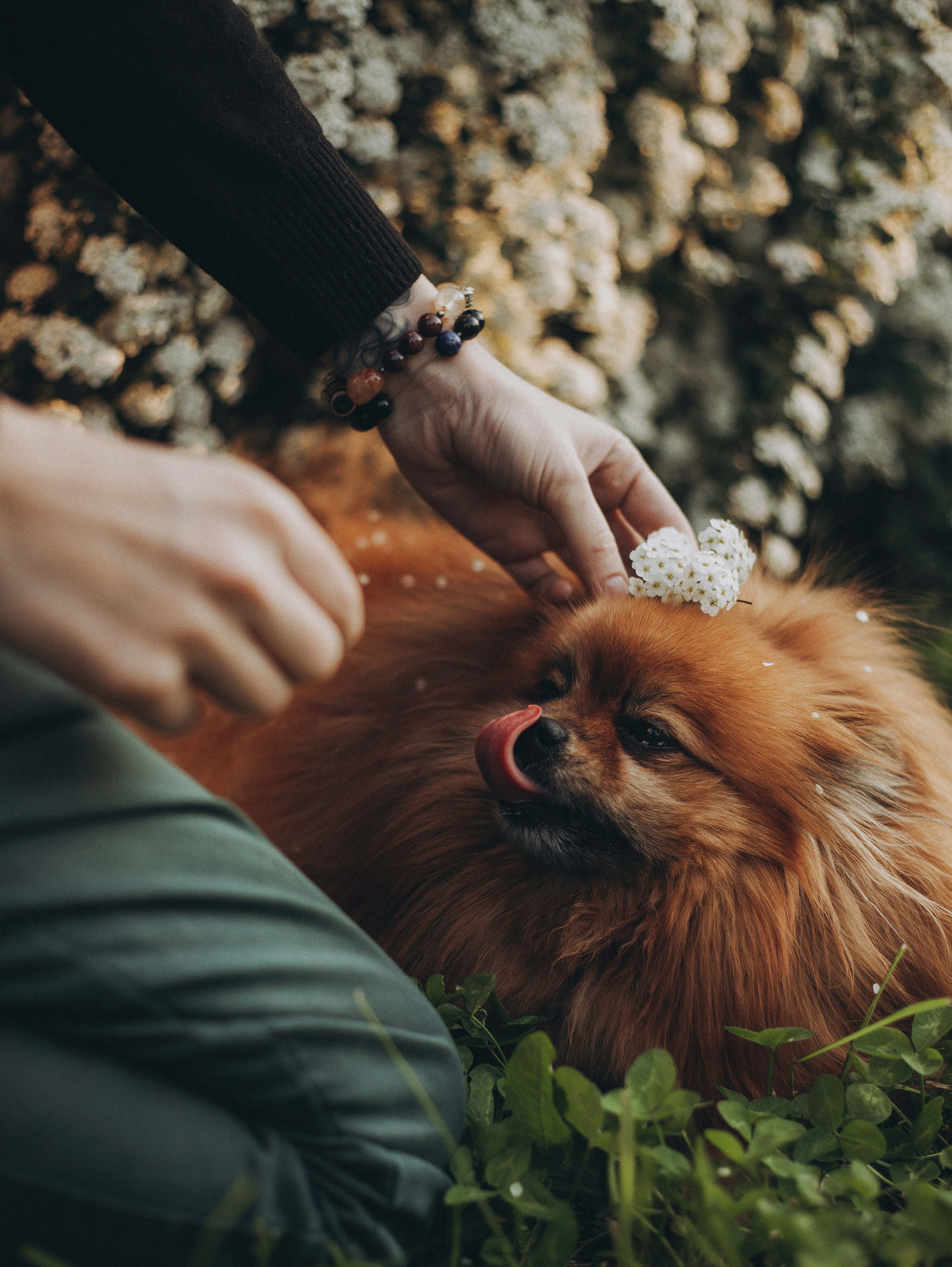 Саша и Ричи. Фотограф в Краснодаре Алена Соколовская