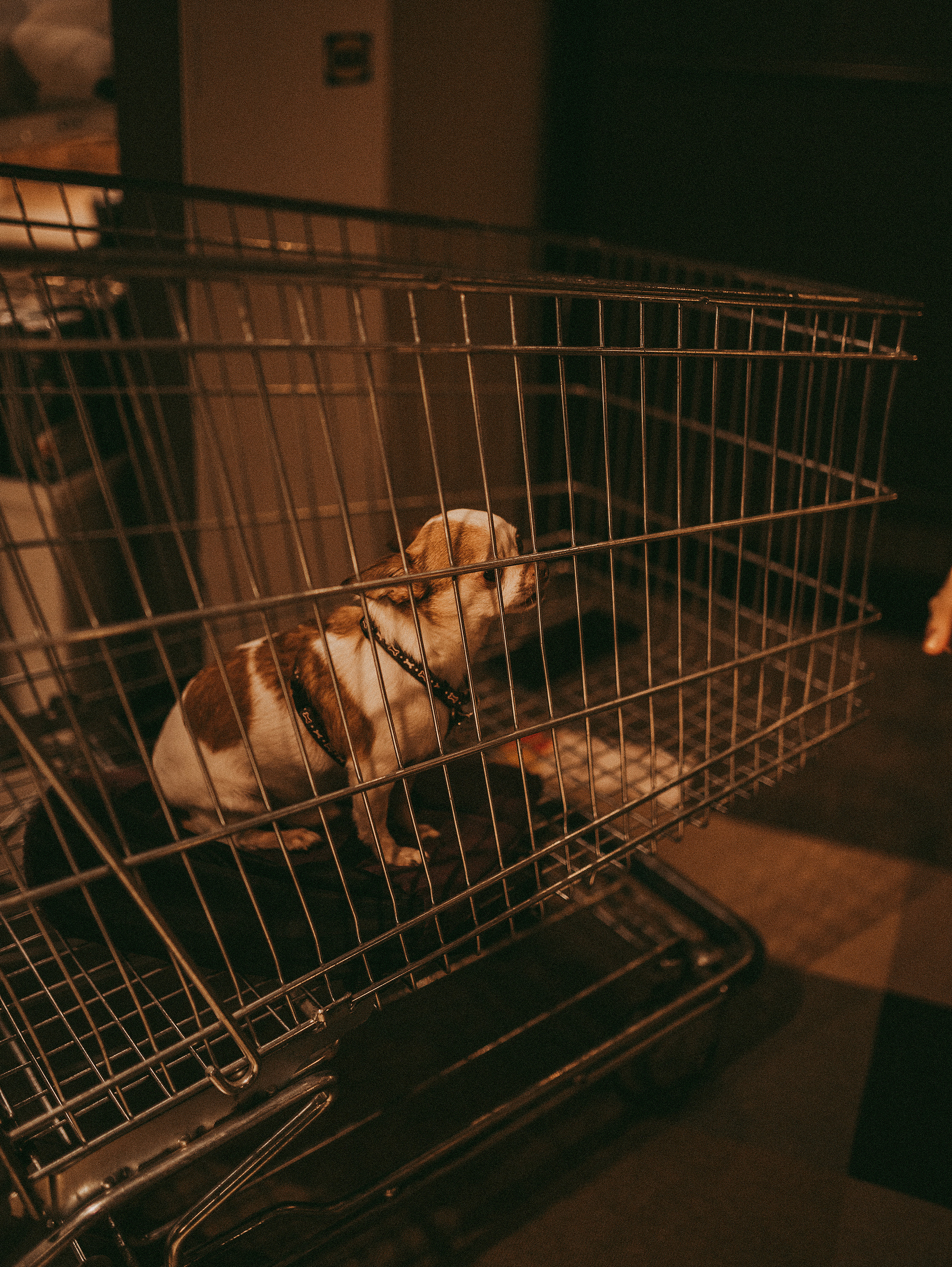 Есть идея — есть Икеа. Фотограф в Краснодаре Алена Соколовская