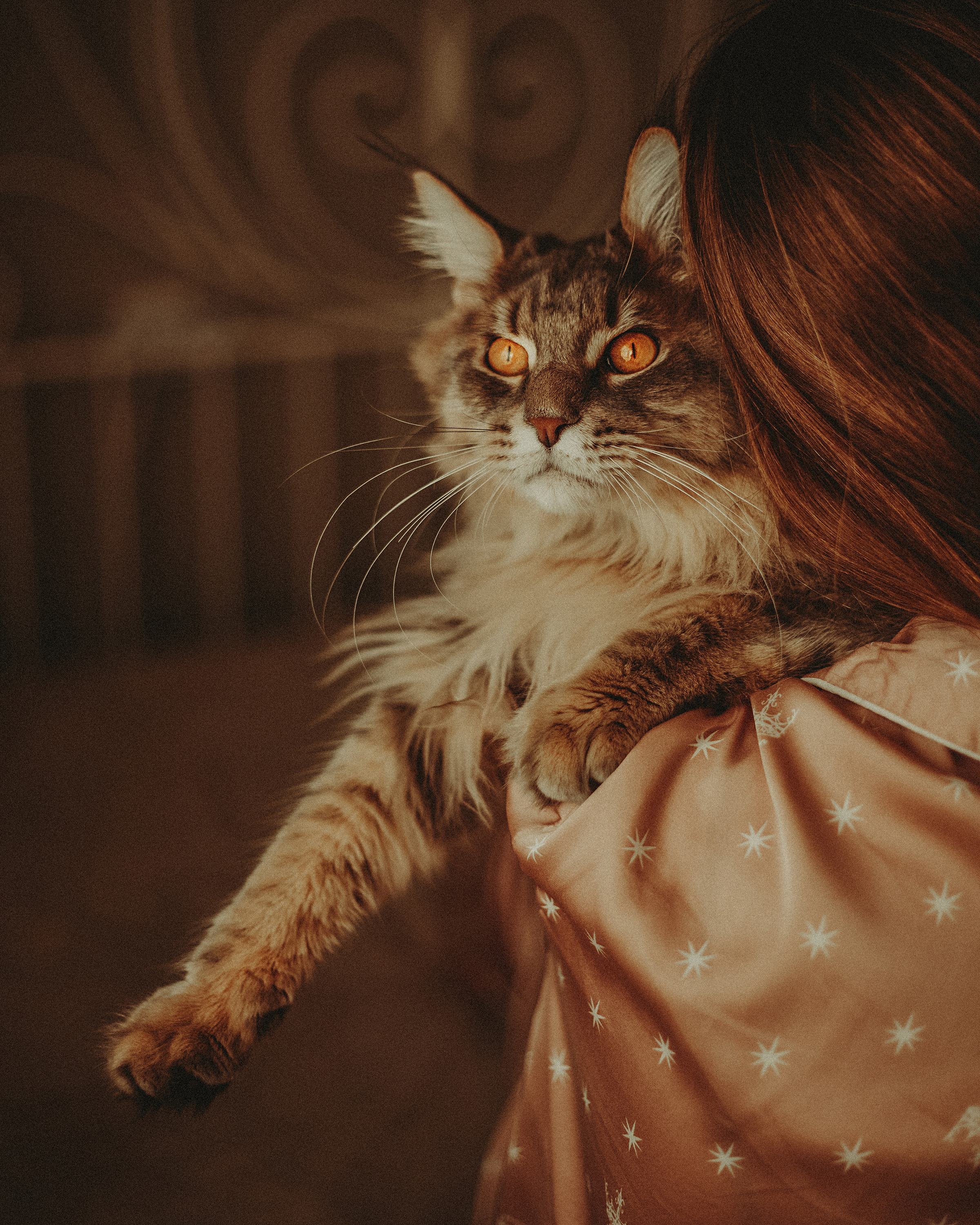 Владислава и Харлей. Фотограф в Краснодаре Алена Соколовская