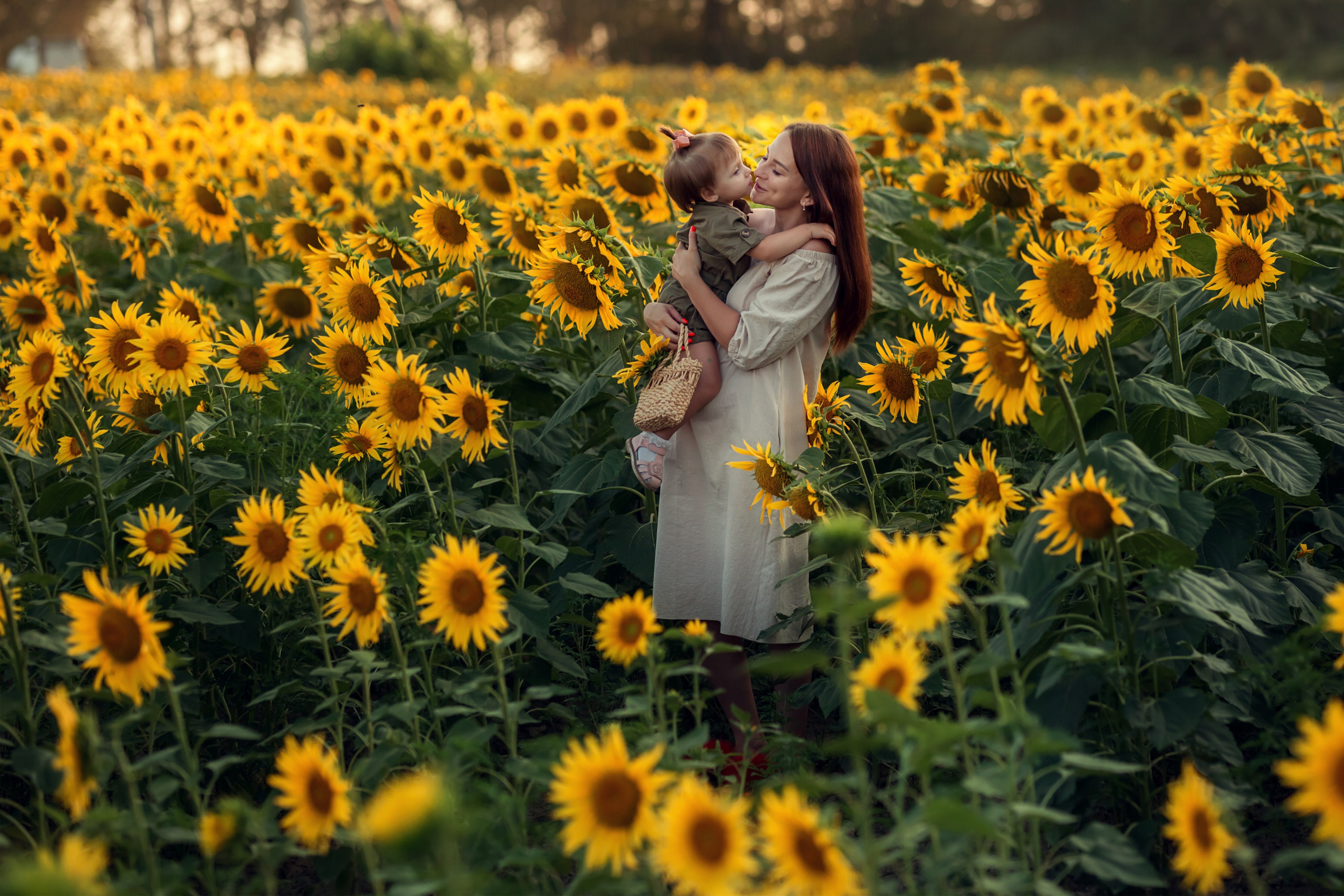 Подсолнухи. Семейный и детский фотограф Екатерина Савёлова