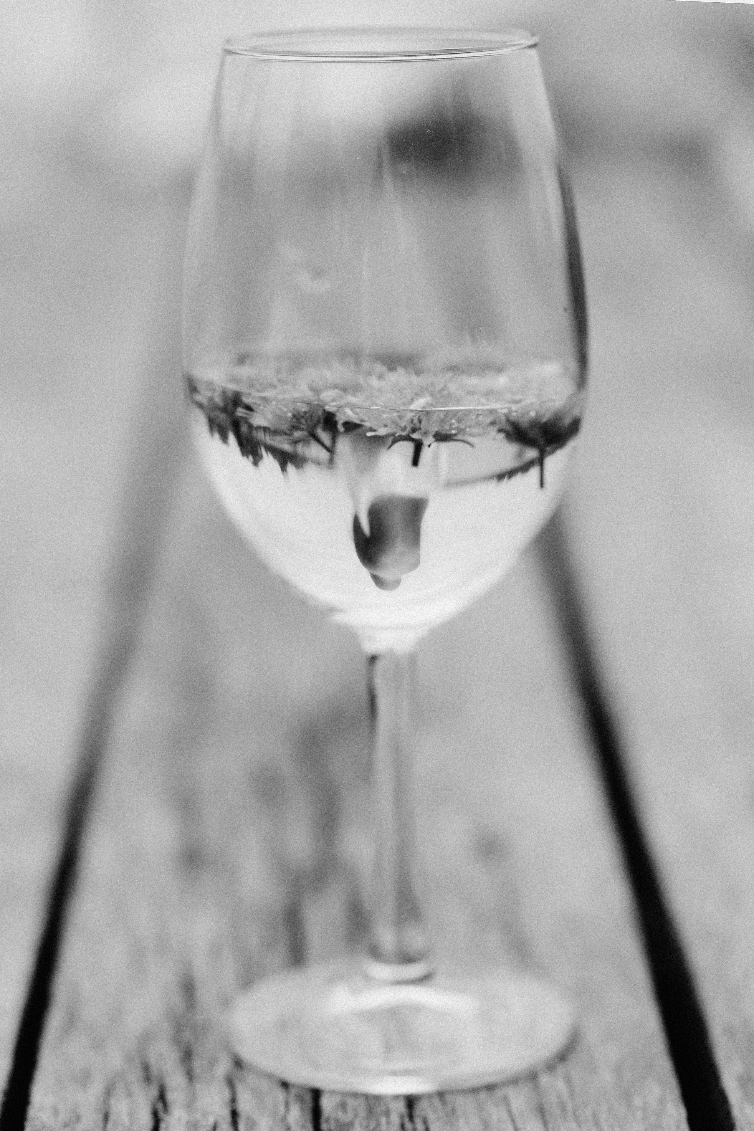 Ирина. Свадебный и семейный фотограф Светлана Пирюгина