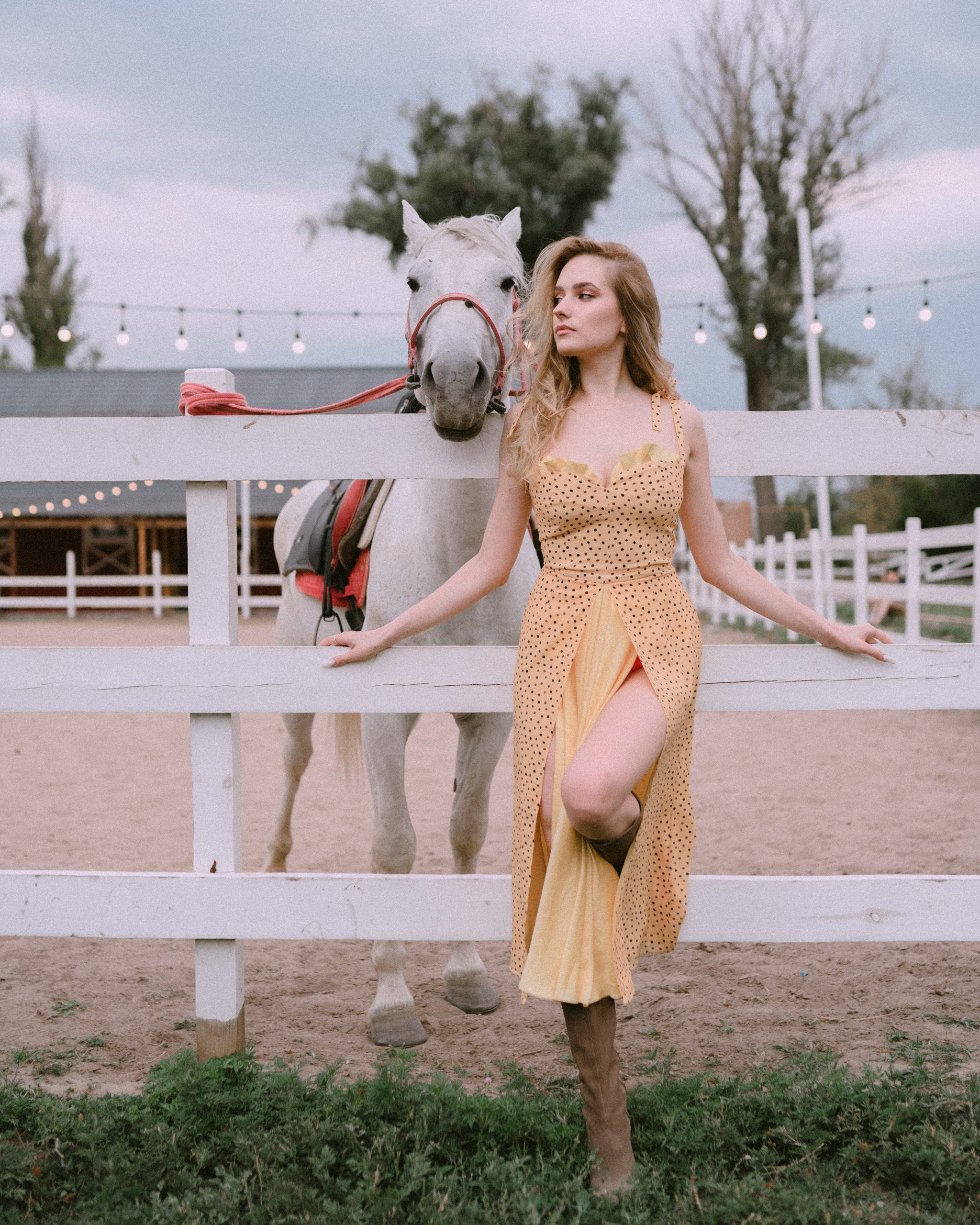 The Equine Muse. Фотограф в Алматы Анастасия Новоселова