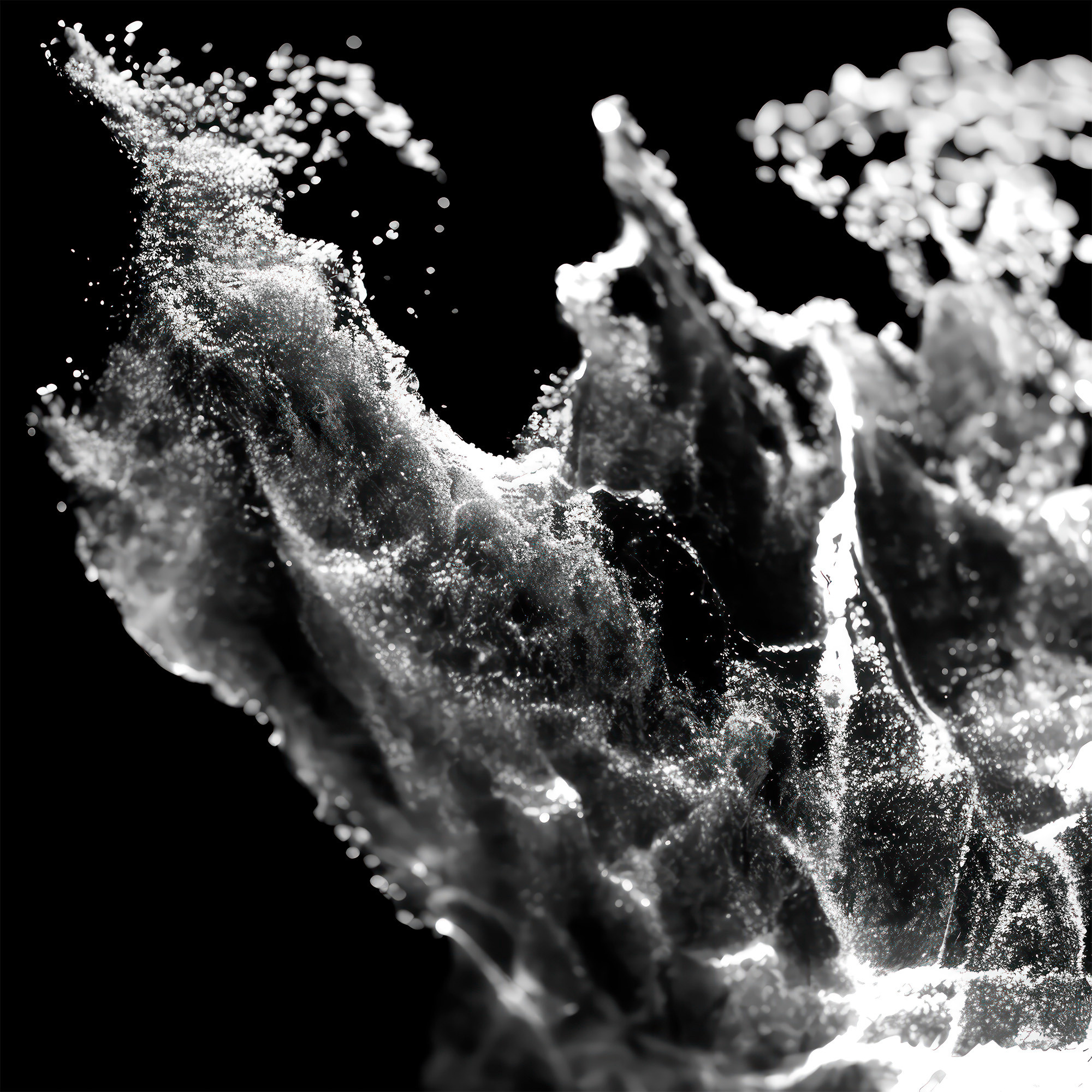 Sarabande. OOPS TEAM