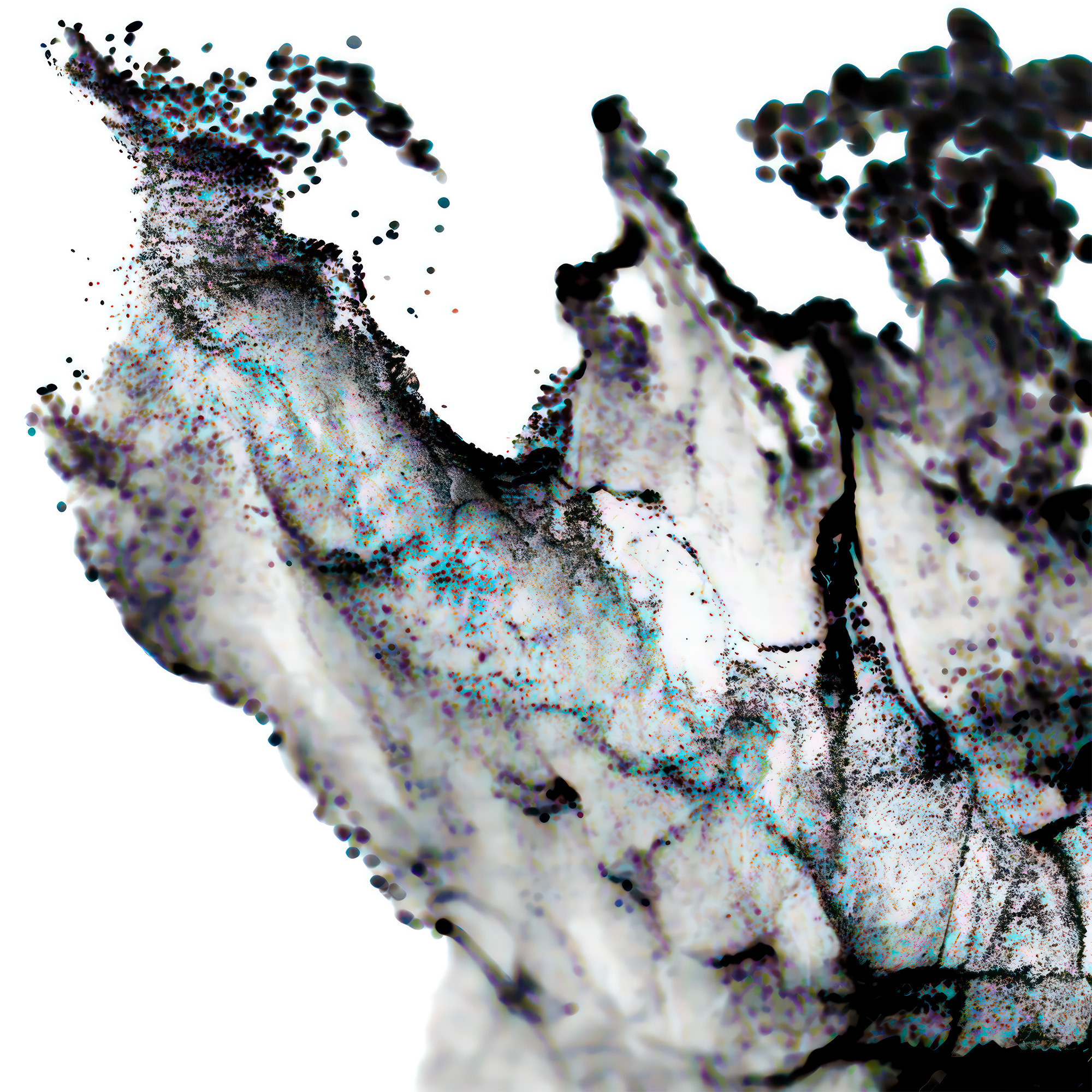 Sarabande. OOPS TEAM