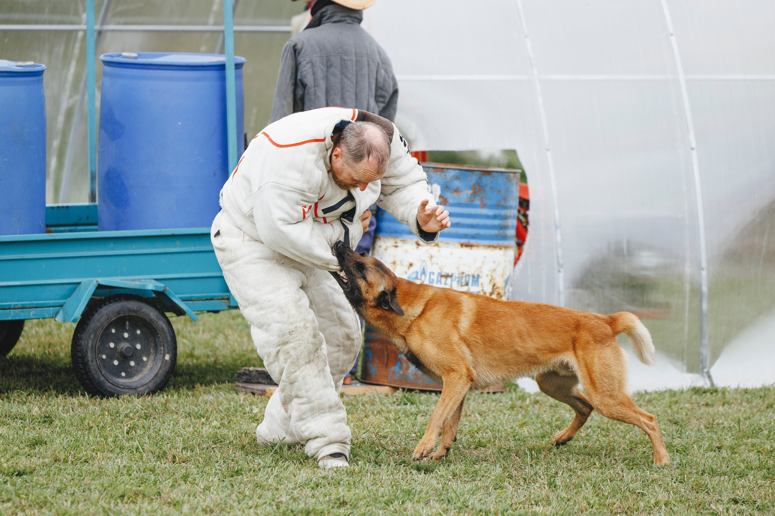 08.08.25-10.08.25 ЧР по мондьорингу г. Вологда. Фотограф-анималист Анна Маринич