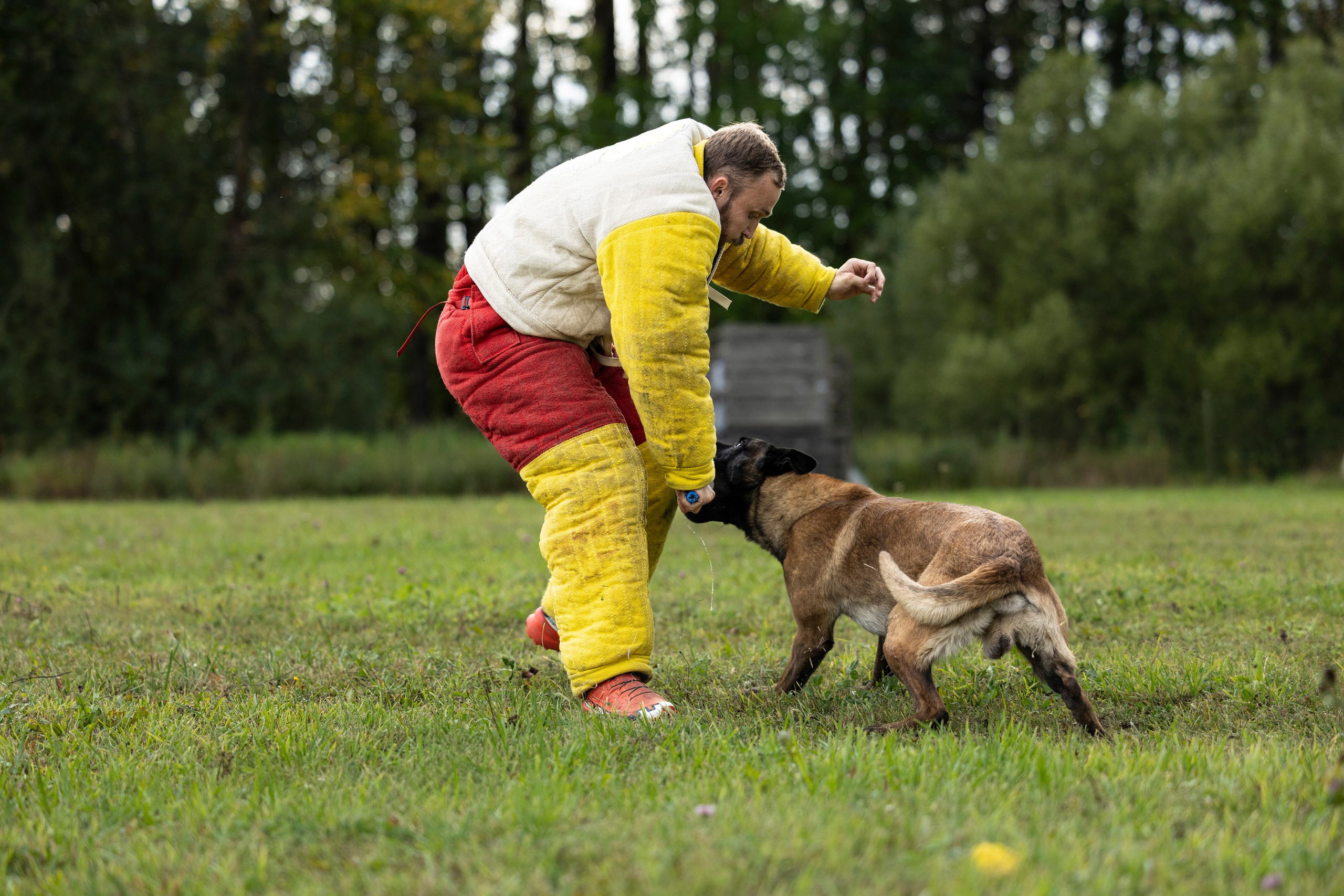 Испытания по Мондьорингу г. Пушкин. Фотограф-анималист Анна Маринич