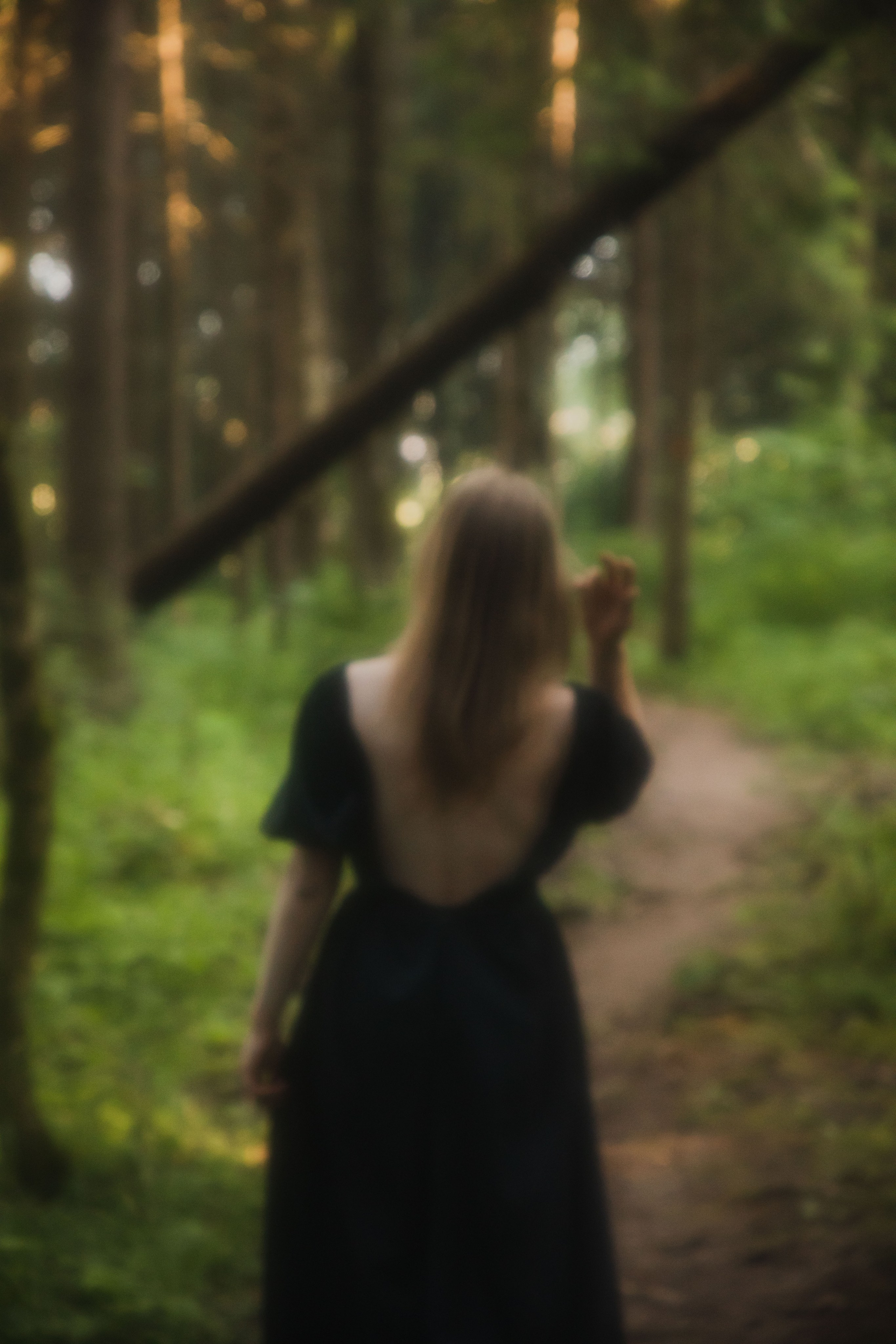 Рассветная в лесу. Юлия Башкатова, сказочный фотограф, Москва