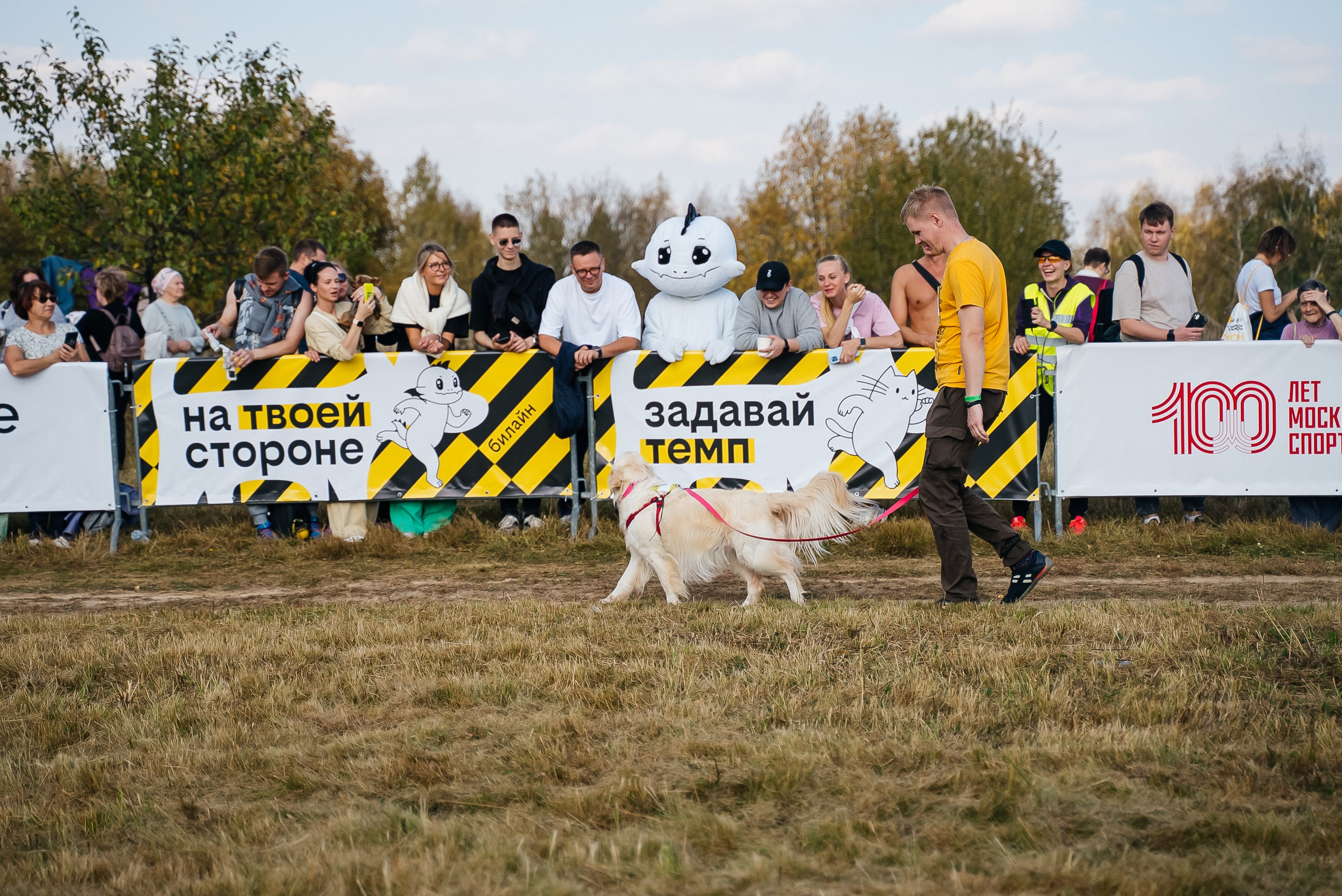 Билайн. Павел Краснов — Свадебный и репортажный фотограф в Москве