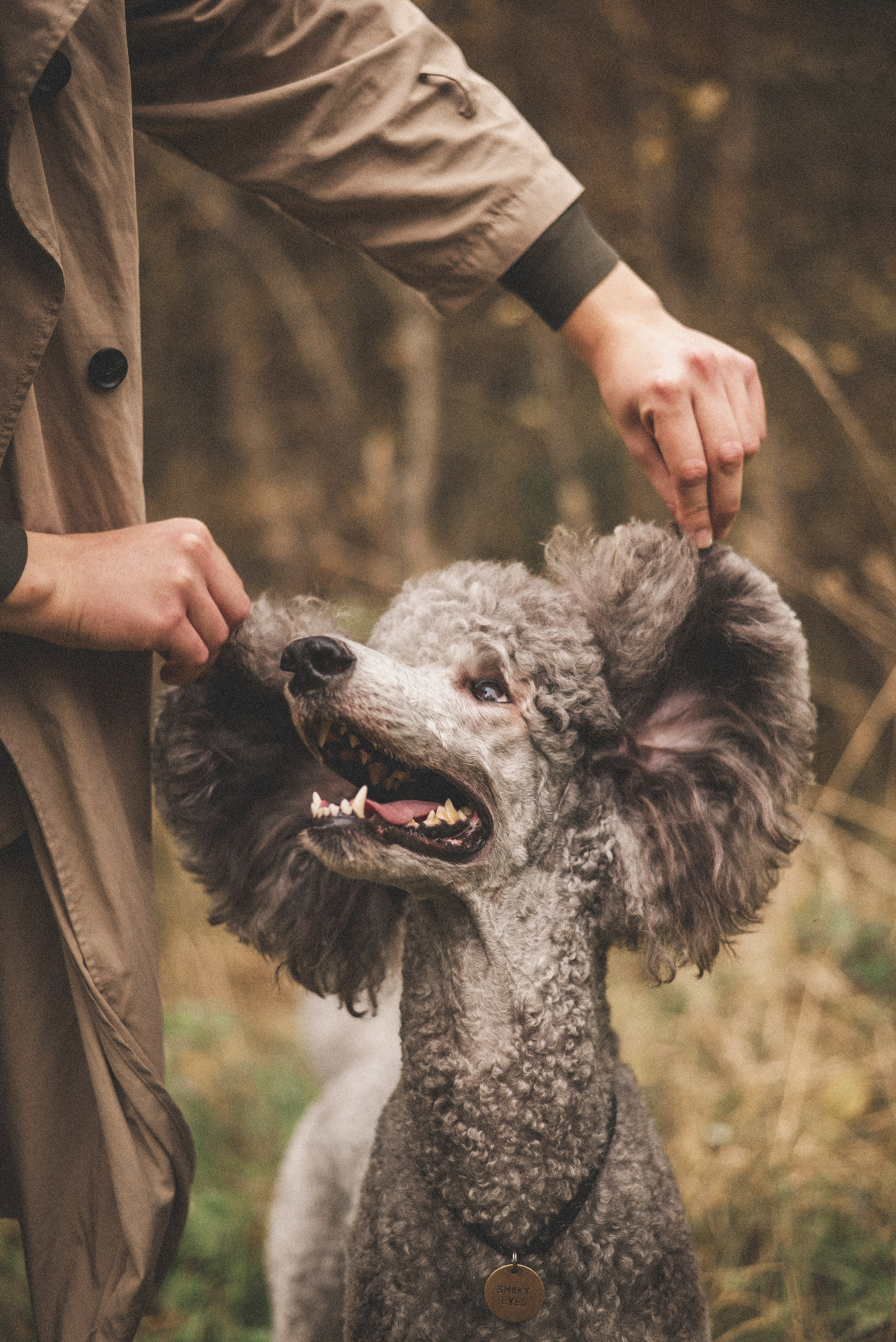 Алёна и Смоки. Фотограф-анималист Богданова Полина