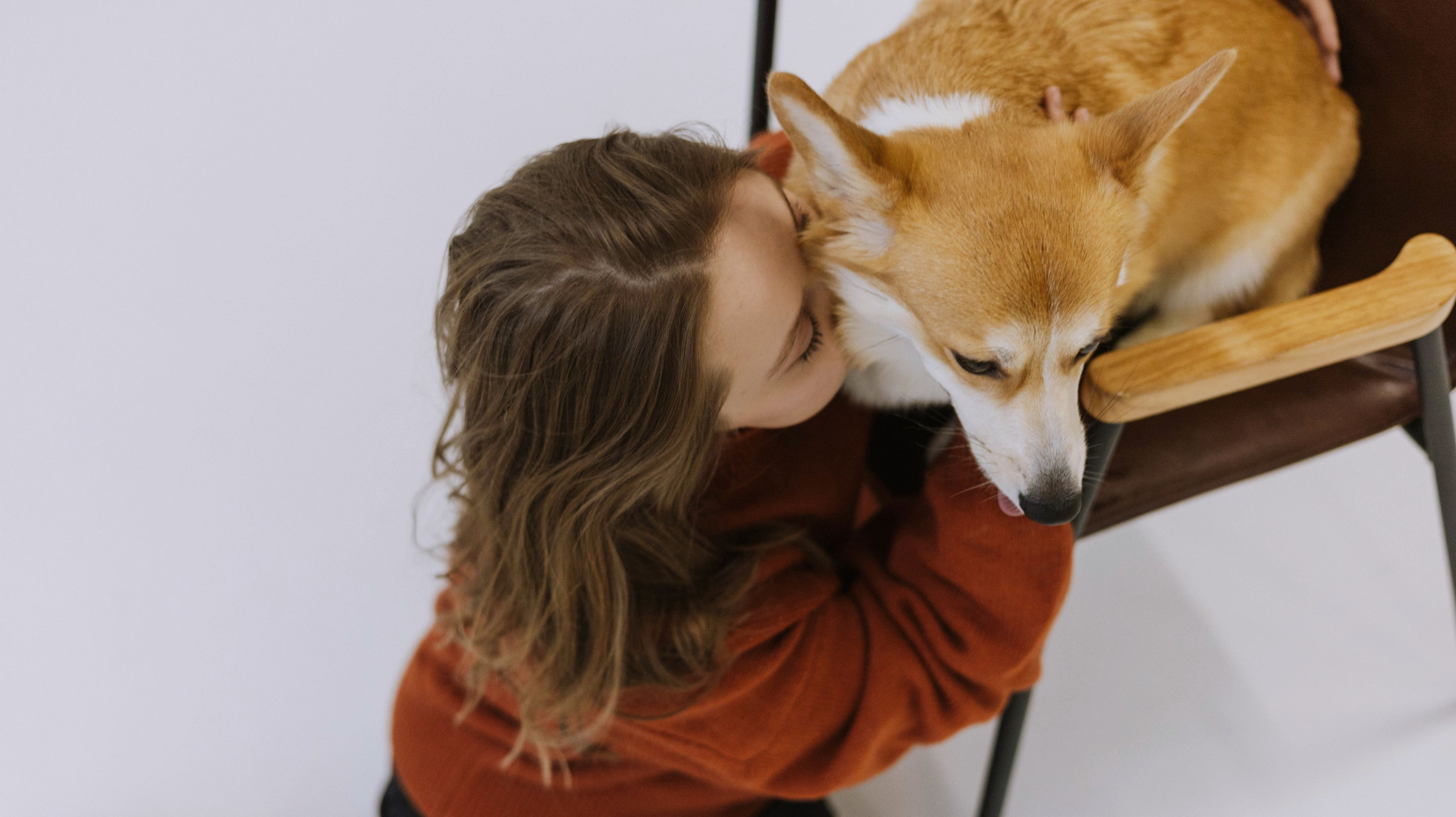 Настя и Мия. Фотограф-анималист Богданова Полина