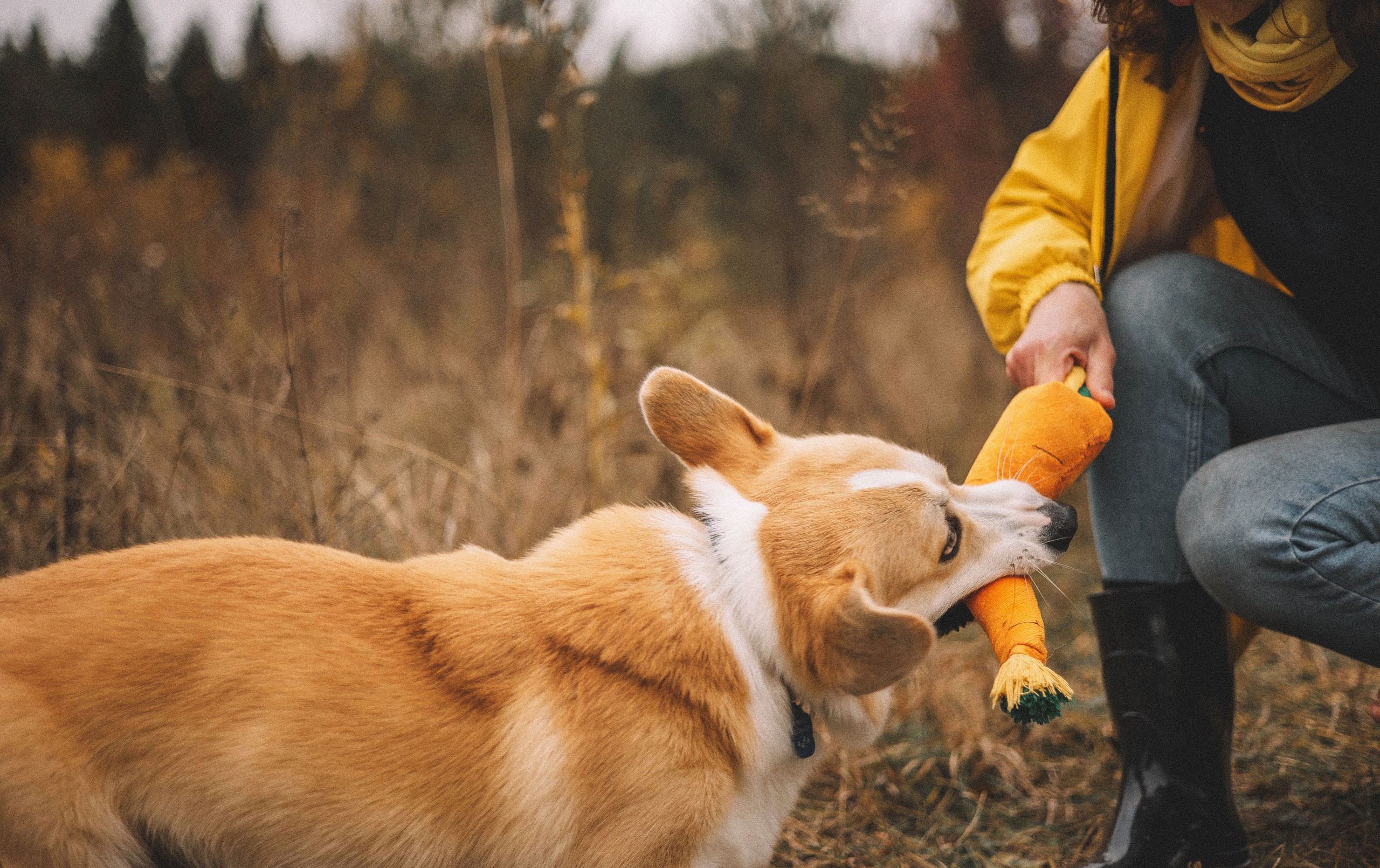 Юля и барри. Фотограф-анималист Богданова Полина