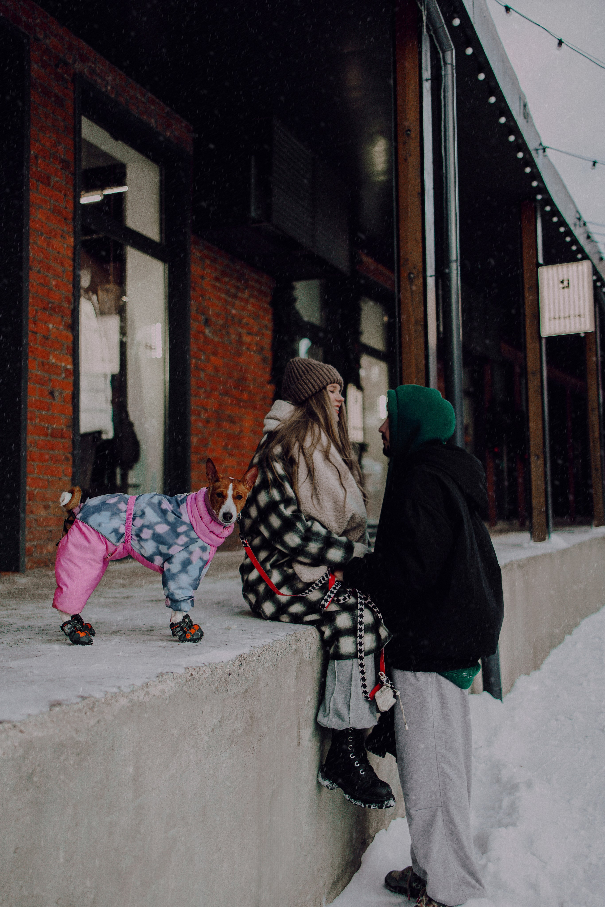 Люба, Никита и Бахати. Фотограф-анималист Богданова Полина