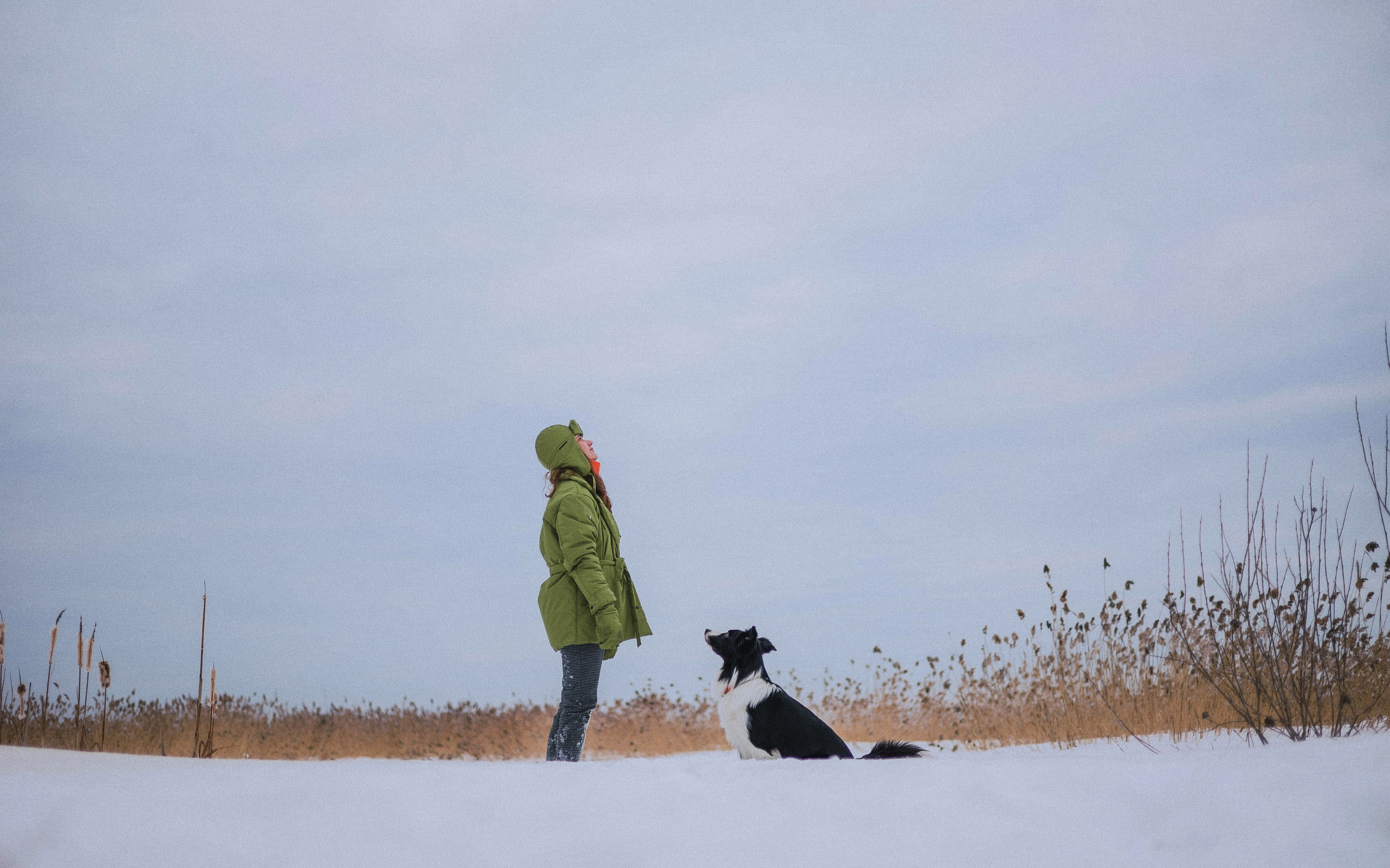 Маша, Рэм и Ньютон. Фотограф-анималист Богданова Полина