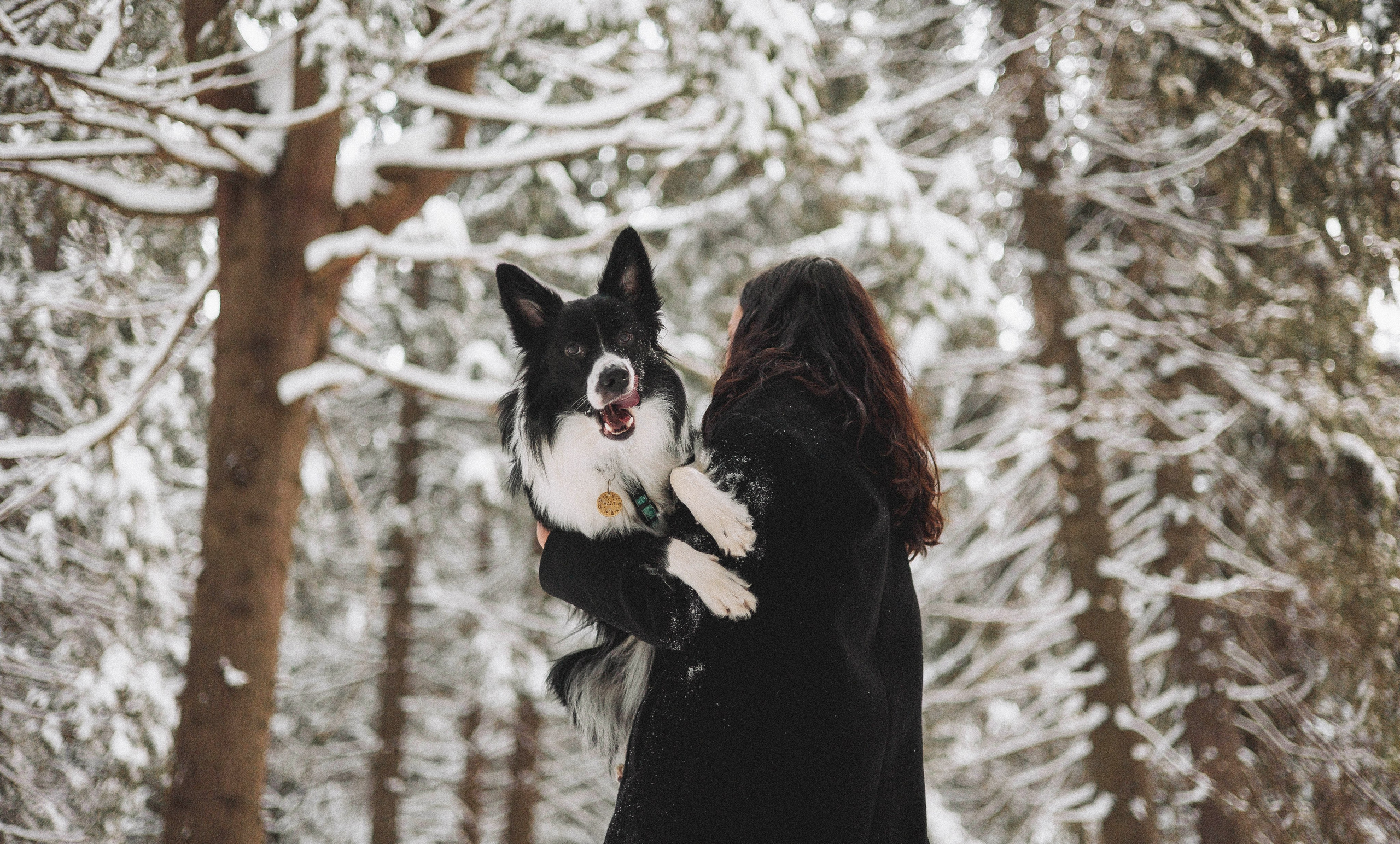 Алина и Найт. Фотограф-анималист Богданова Полина