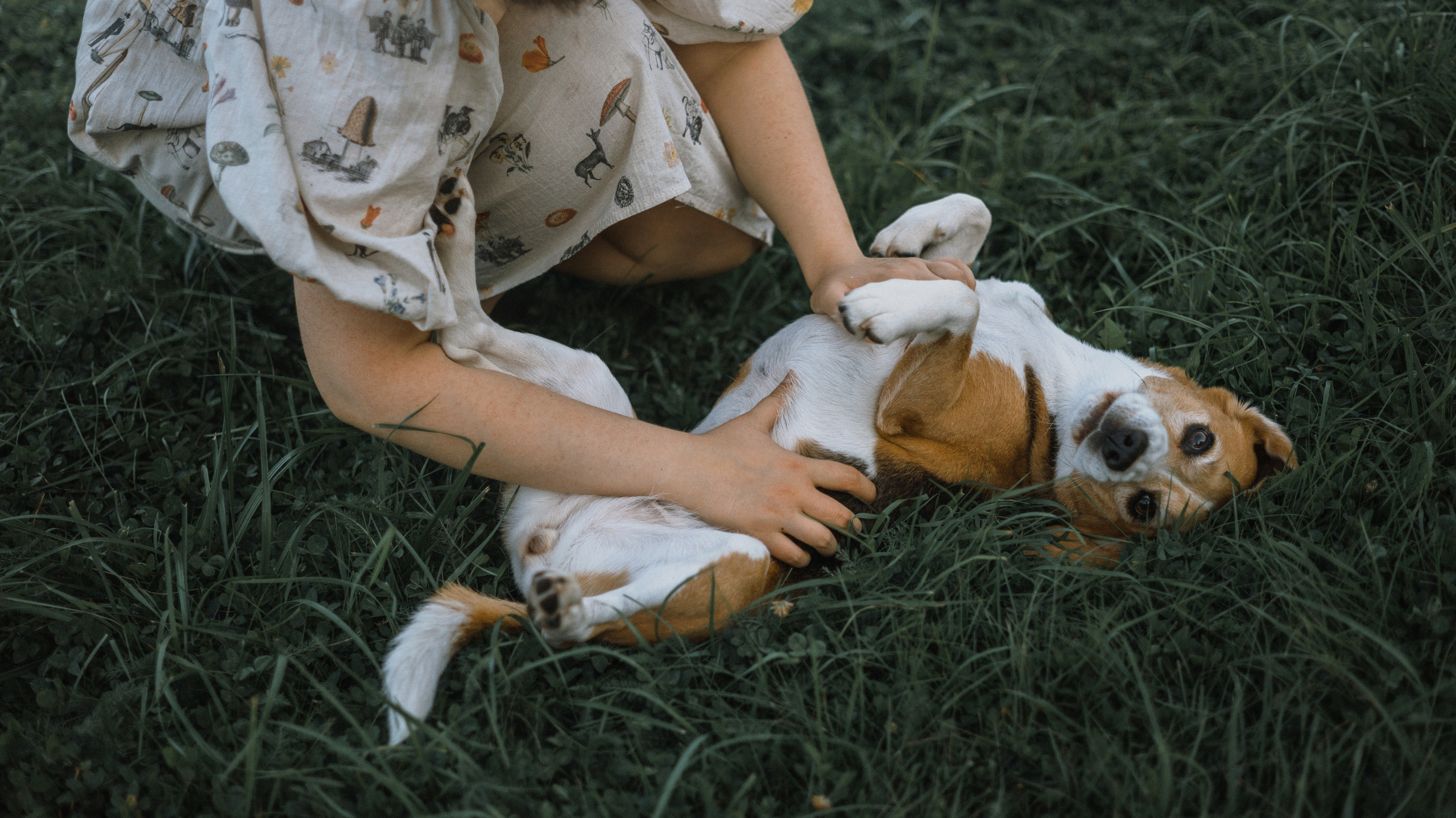 Лиза и Сара. Фотограф-анималист Богданова Полина