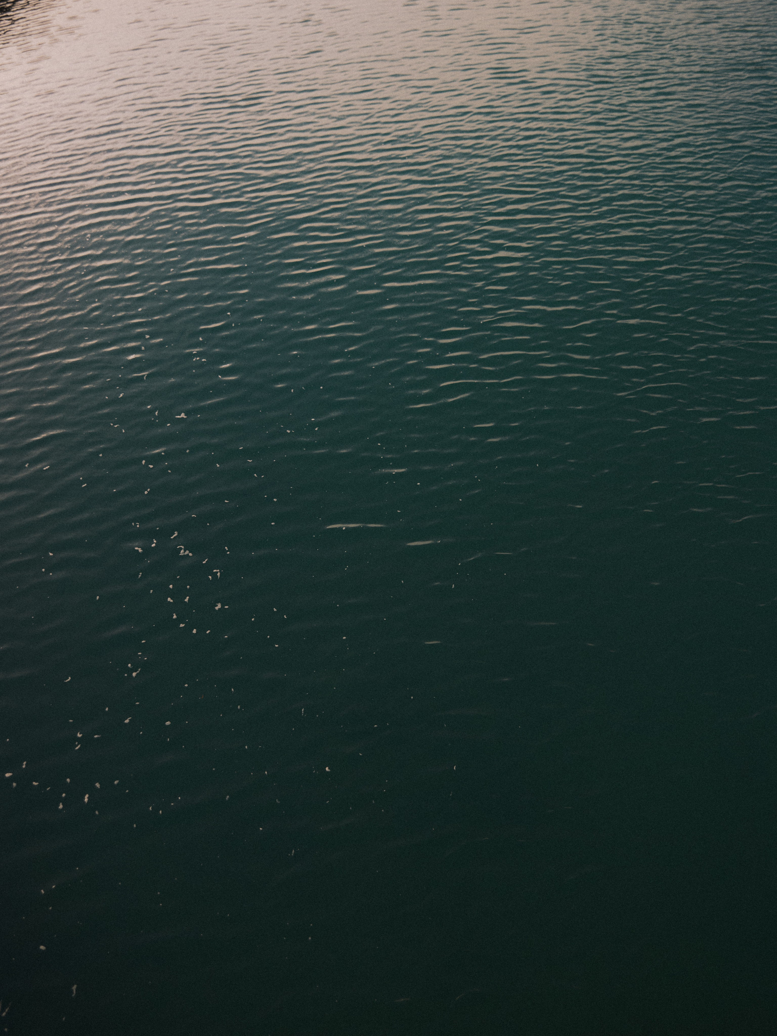 Природа. Jorgis Talè — photographer, kind person, teacher of arts and other mag