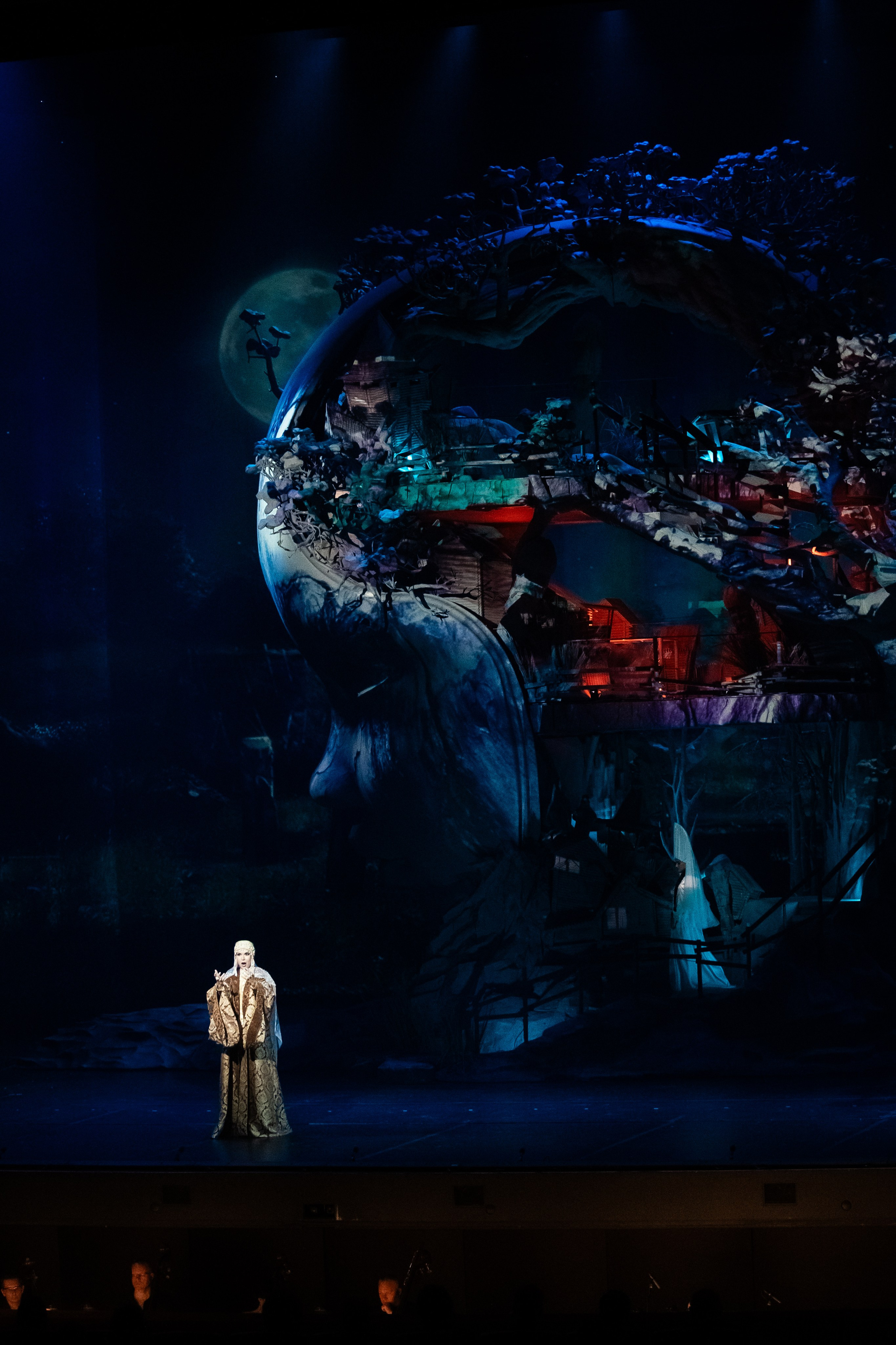 Мандрагора. Фотограф и видеограф Евгений Романов Санкт-Петербург