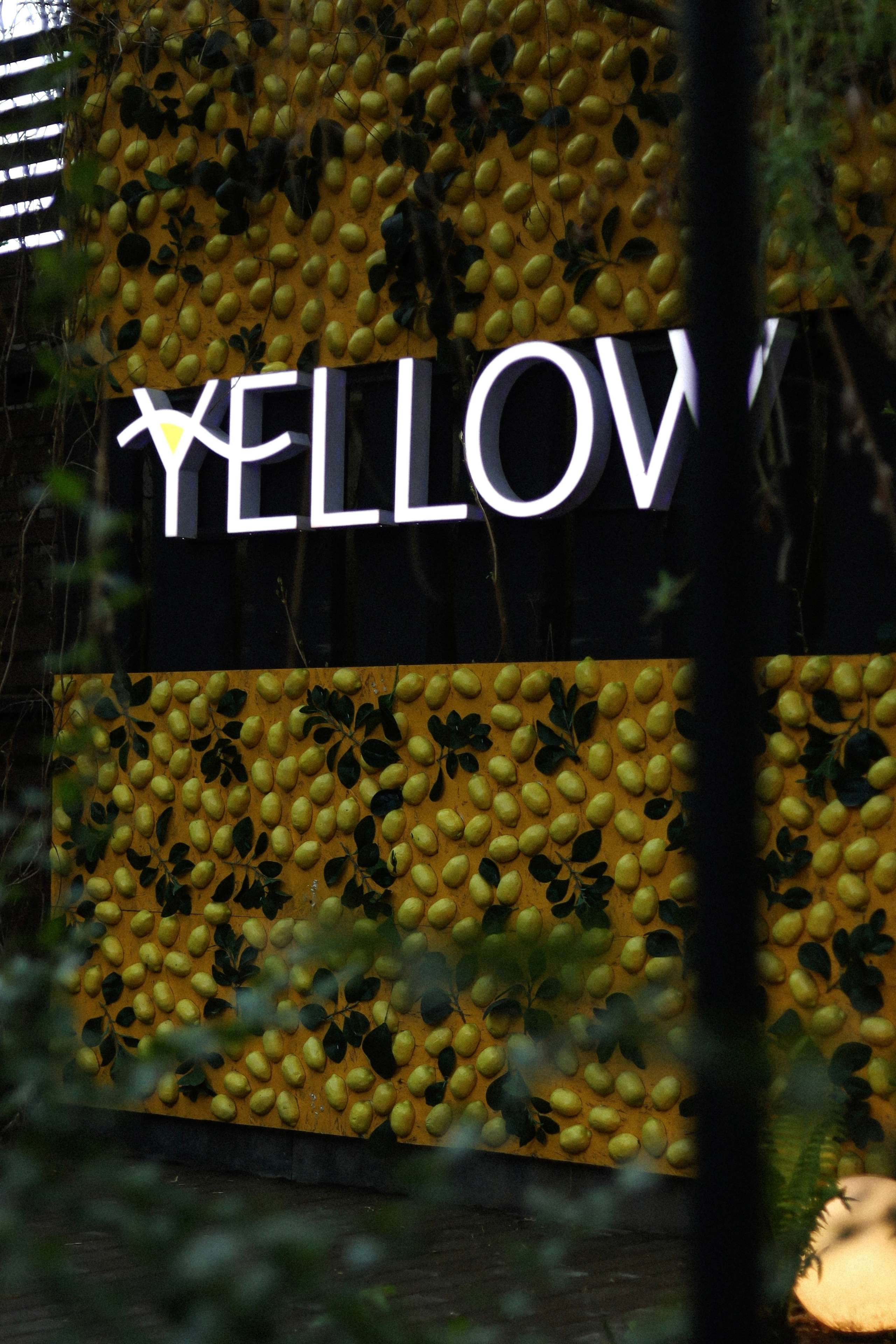 Мероприятия/семейные. Фотограф Екатерина Васюкова