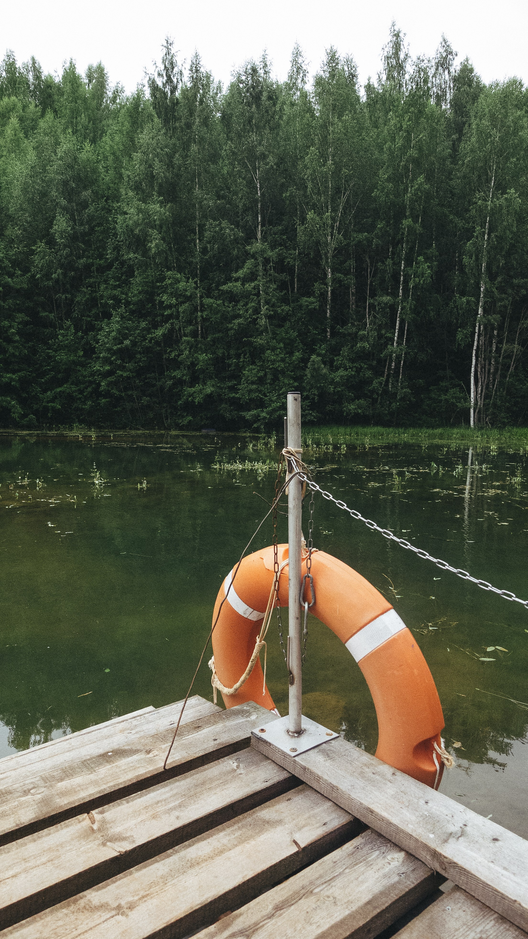 Boksitogorsk, 24 🤎. <3