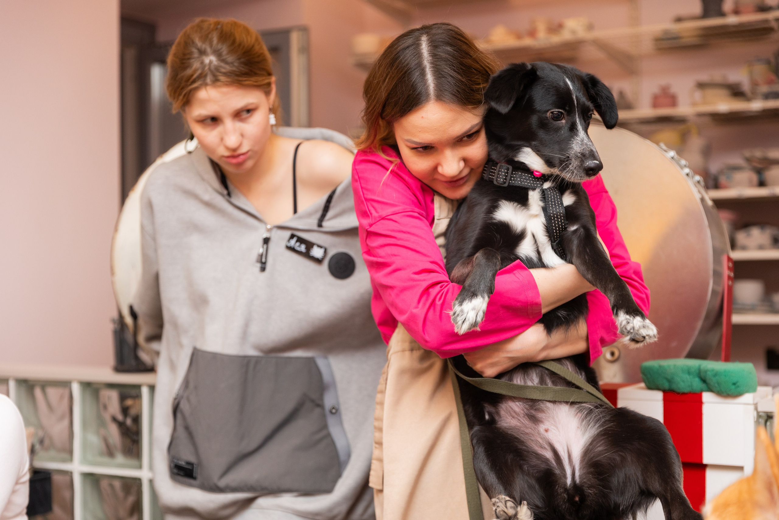 Фотосессия с собаками. Репортажный фотограф — Юрьев Денис, г. Москва