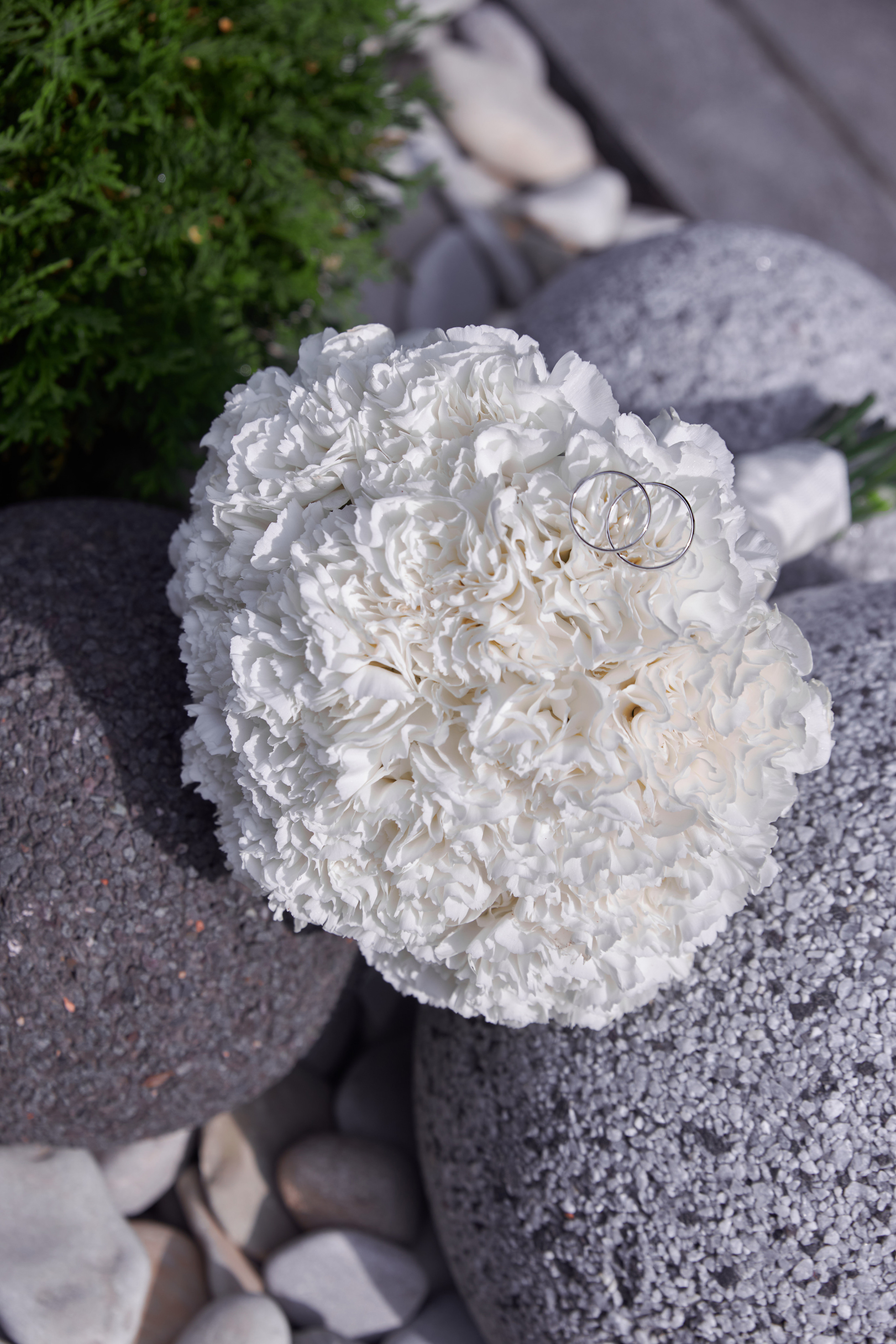 Moscow city. Женский фотограф Москва, Лобня