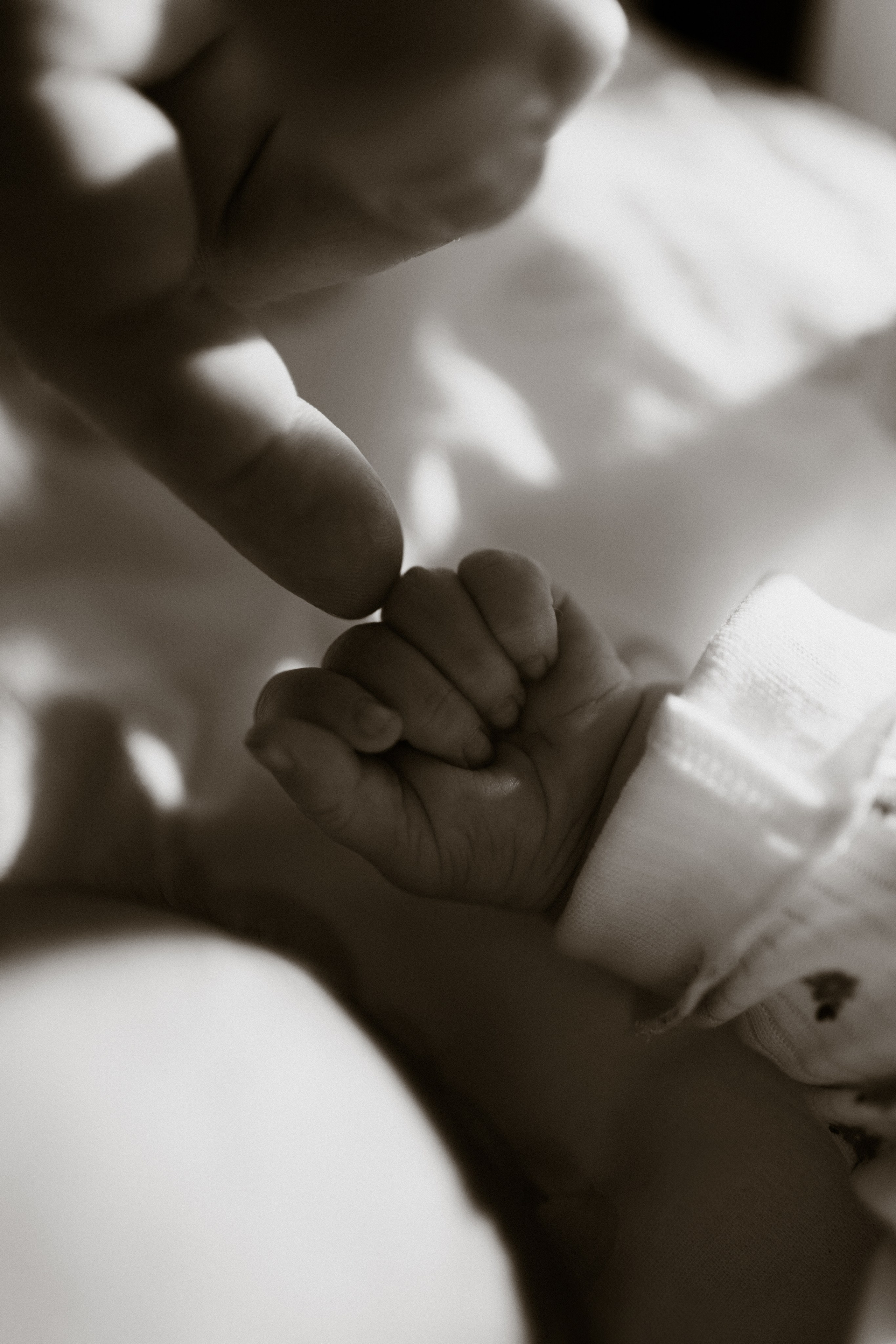 Настя, Антон, Яроша, Агата и Цезарь. Фотограф в Минске — Мария Миллс