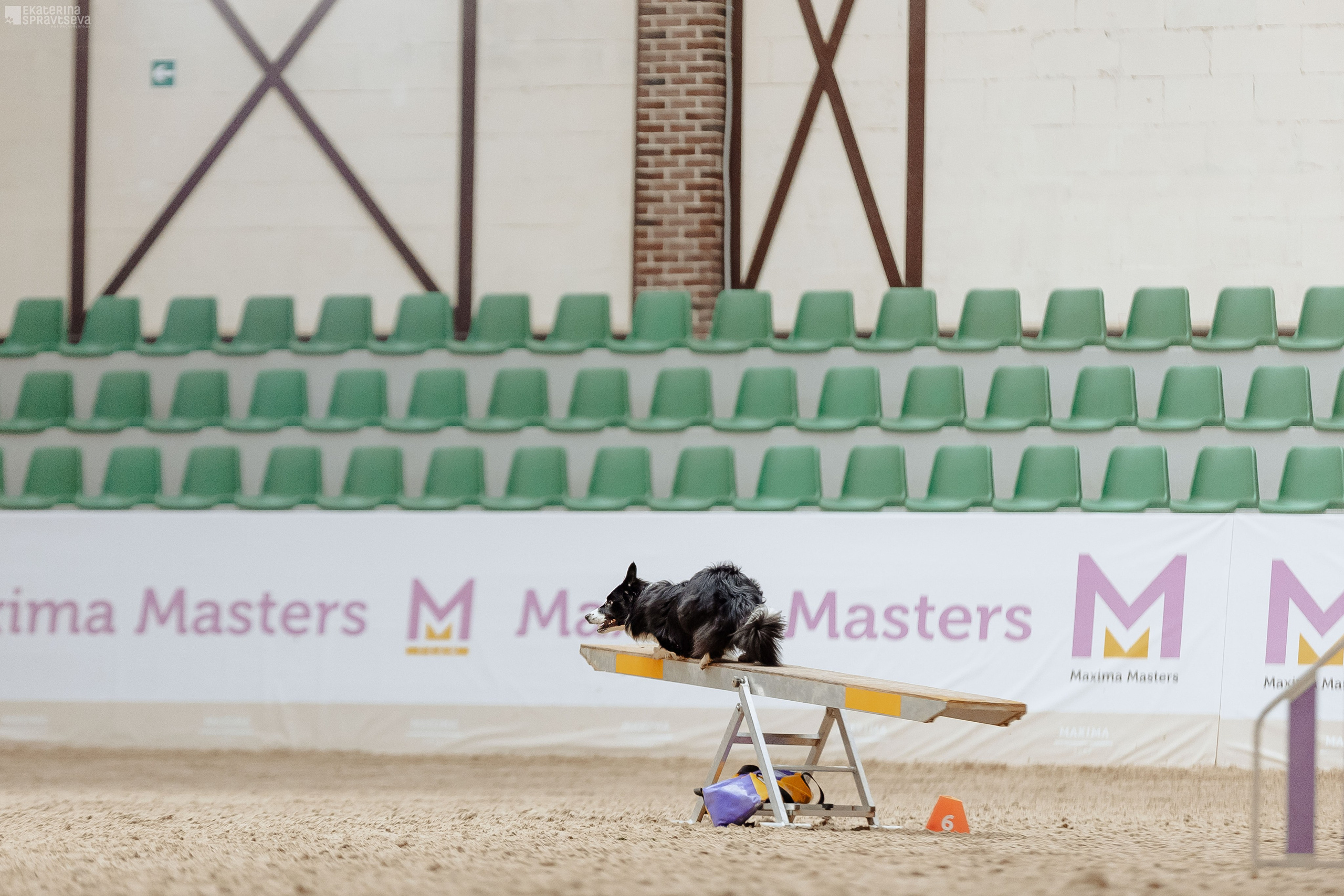 ЧРКФ Аджилити в Максима. Фотограф Анималист Екатерина Справцева в Нижнем Новгороде