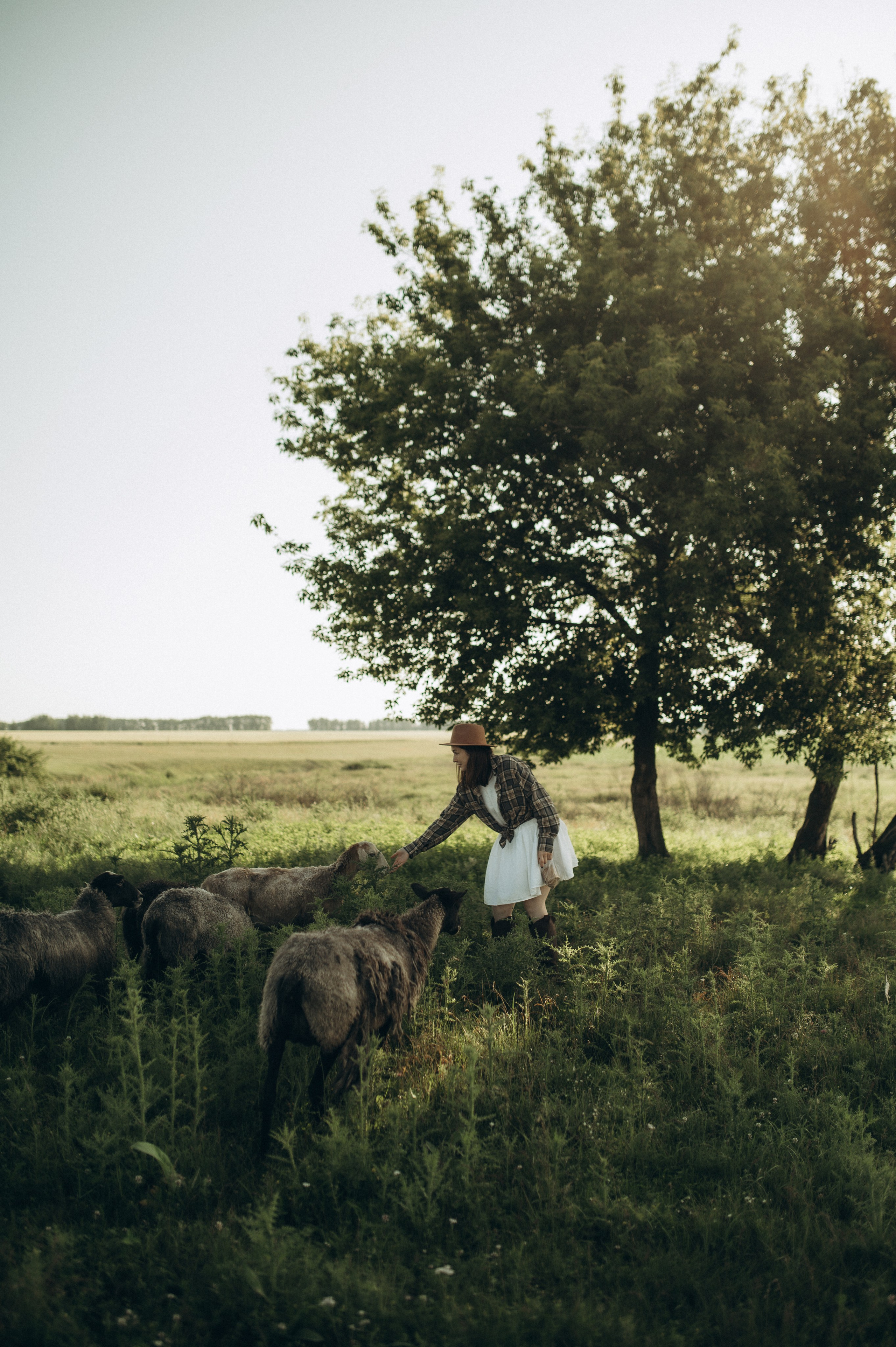 Фотосессия с овечками. Фотограф Быстрова Дарья г. Москва