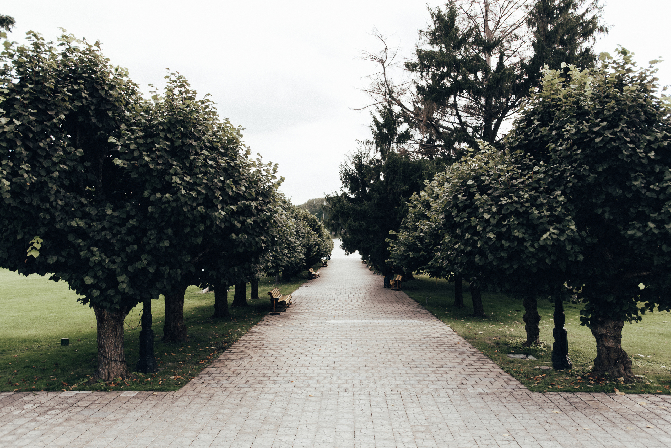 Инна Андрей. Фотограф Милка Татьяна