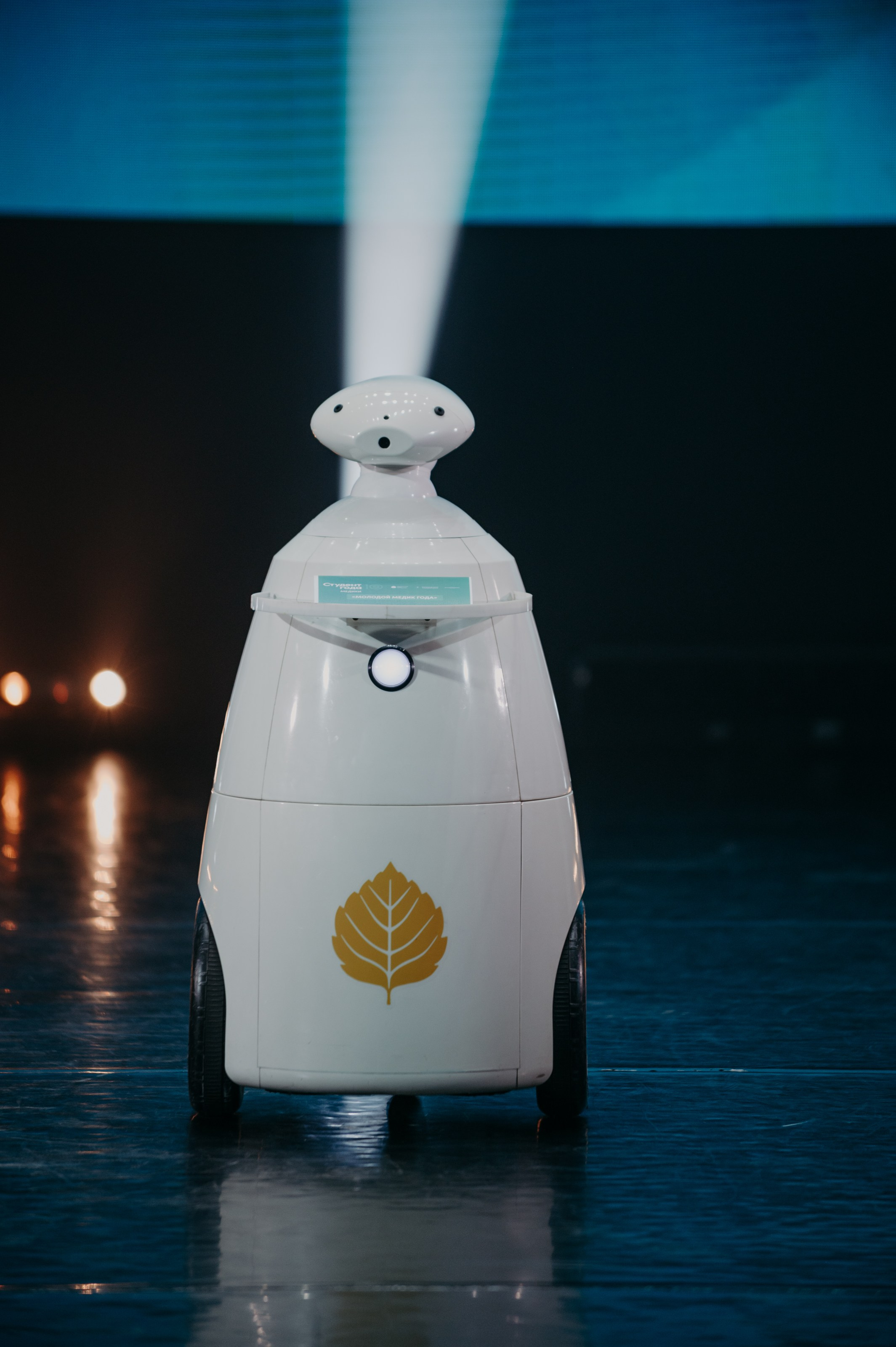 Студент Года — Медик. Фотограф в Москве Илья Максимов