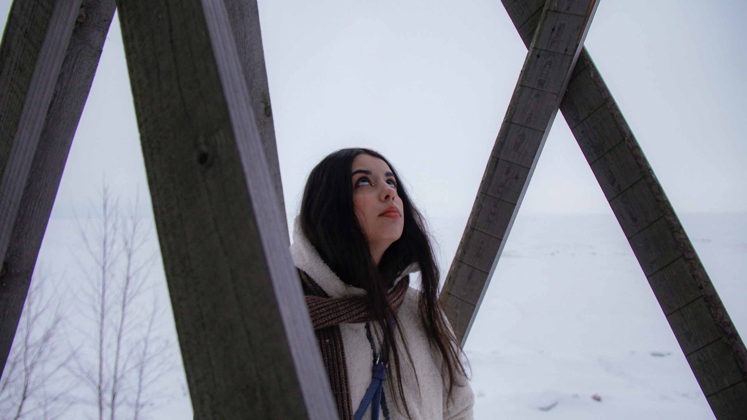 Зимние ветры дуют с&nbsp;озера. Натали