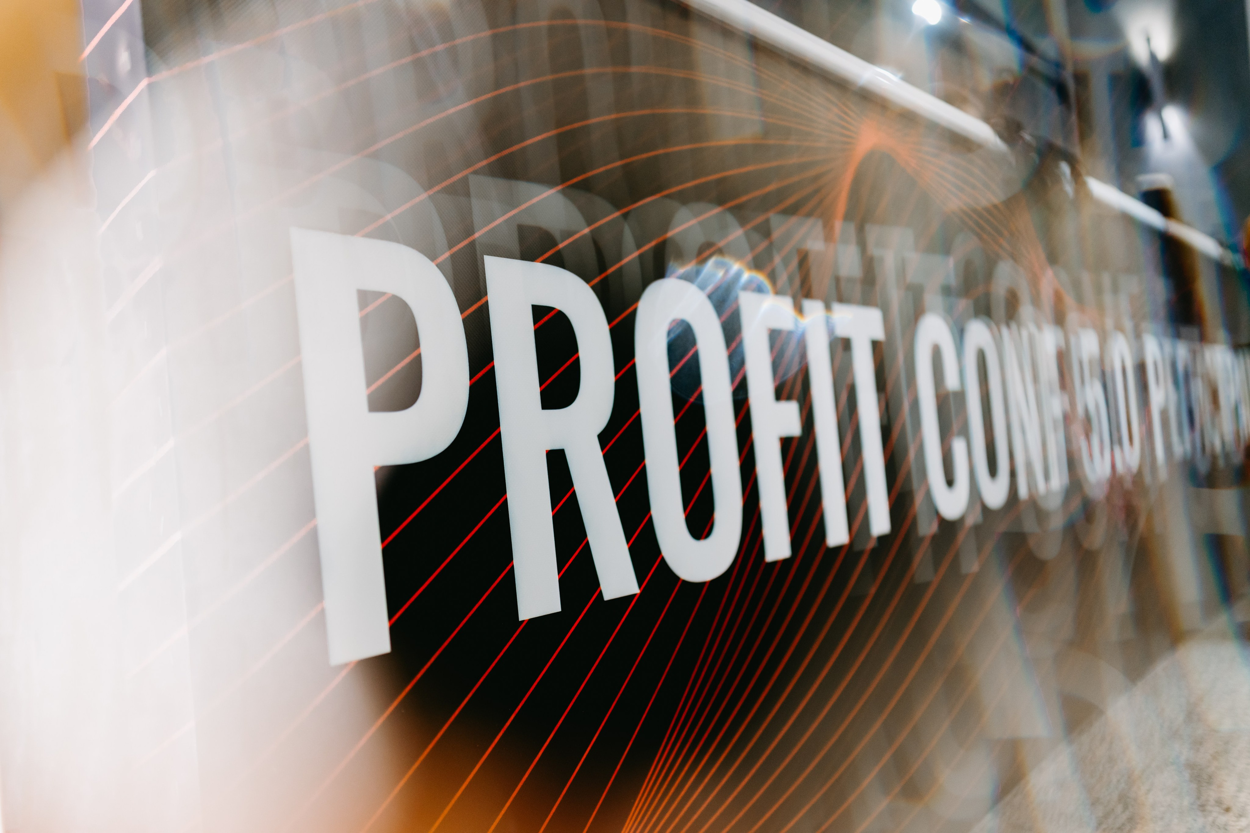 PROFIT conf 5.0. Фотограф Ирина Авдеева