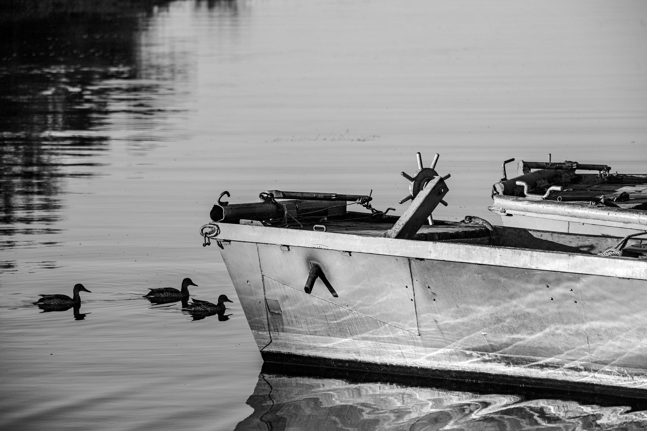 Фотографии Лены Соколовой