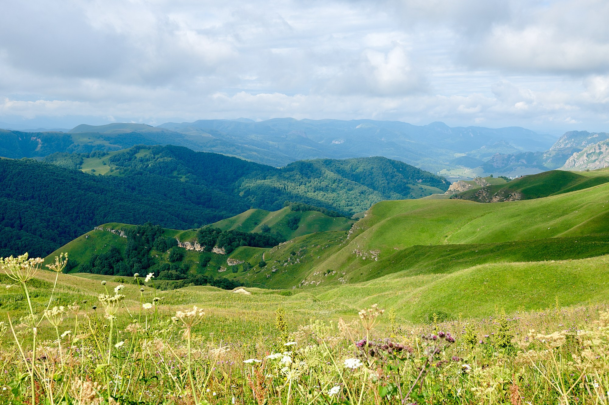 Домбай август 2024. Фотографии отовсюду и обо всем