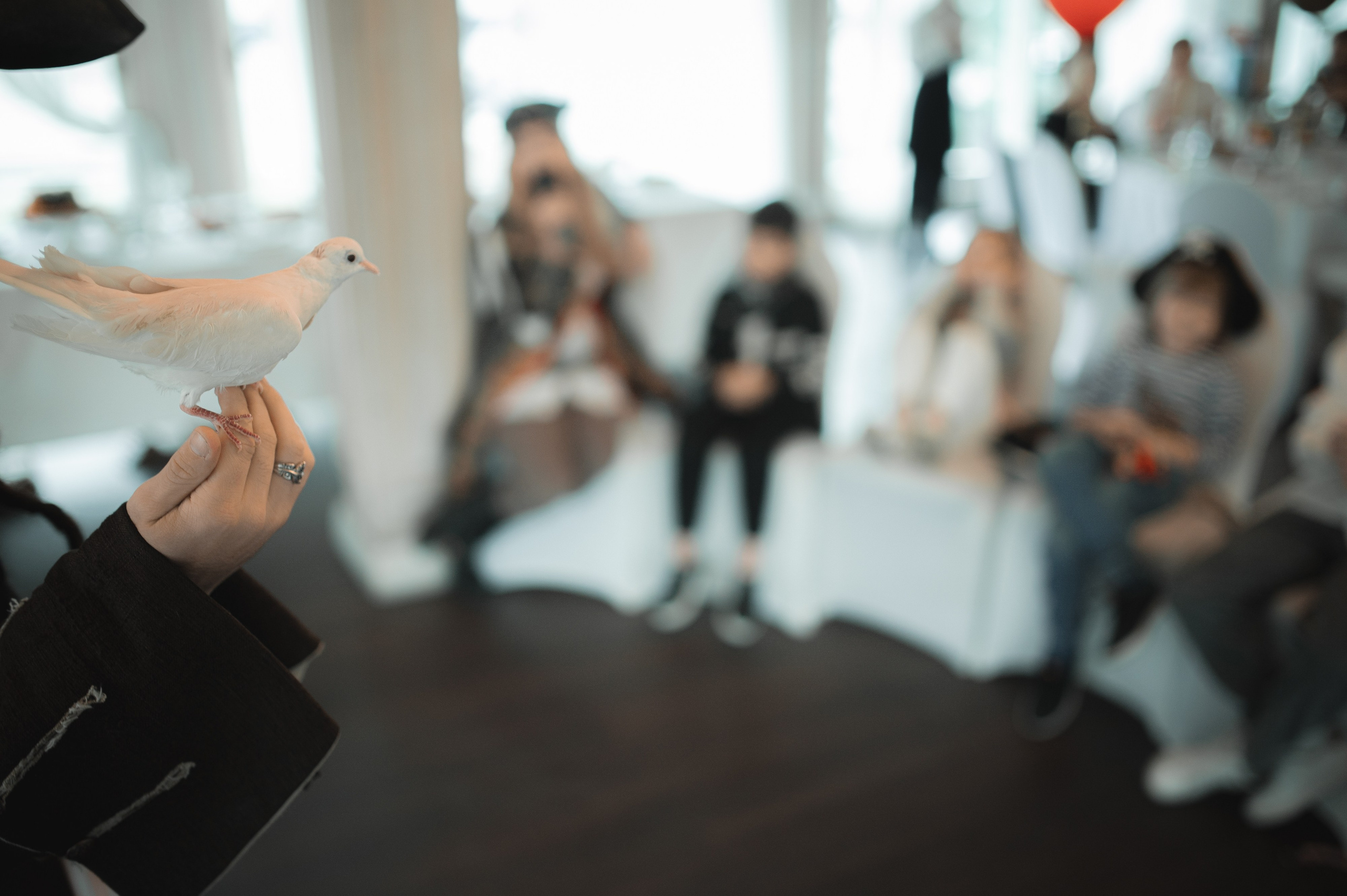 ДР Алисы. Свадебный и портретный фотограф в Москве Жердев Даниил