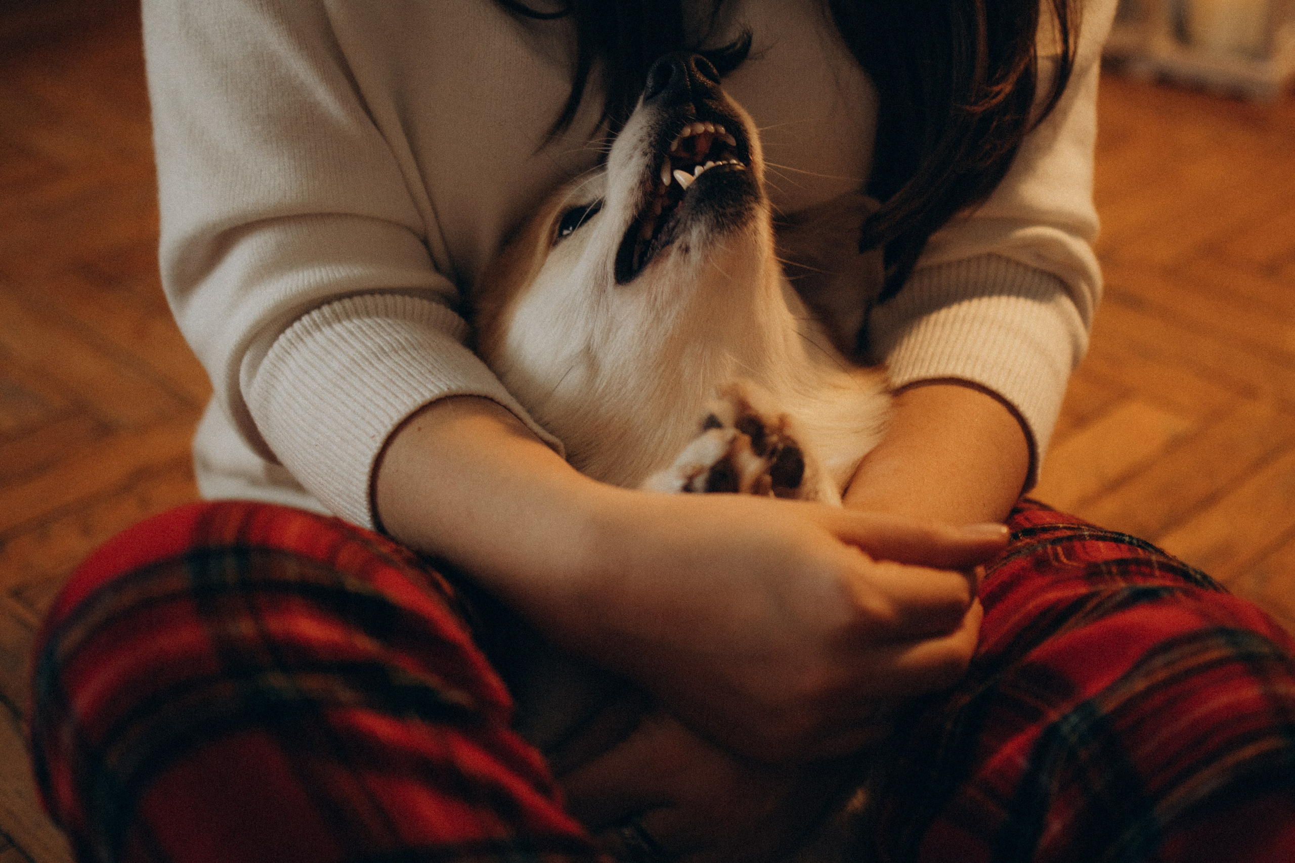Ронни и Жанна. Фотораф — анималист Мария Шистка