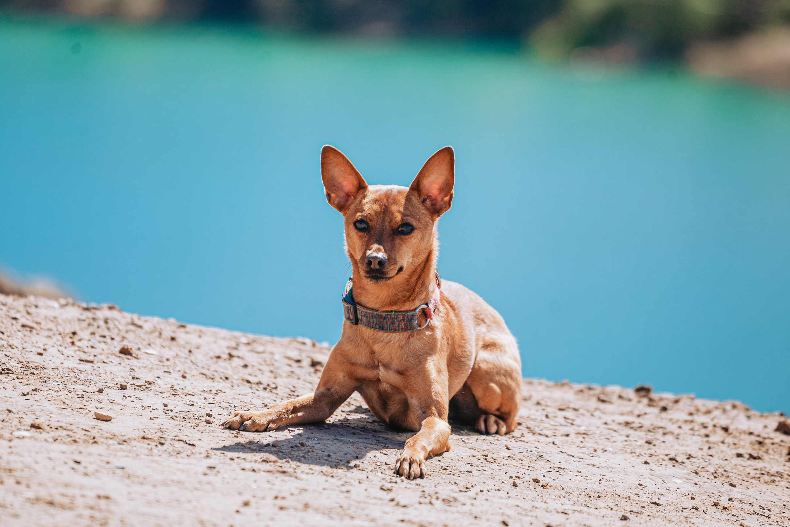 Кондуки. Фотограф-анималист Татьяна Степанова