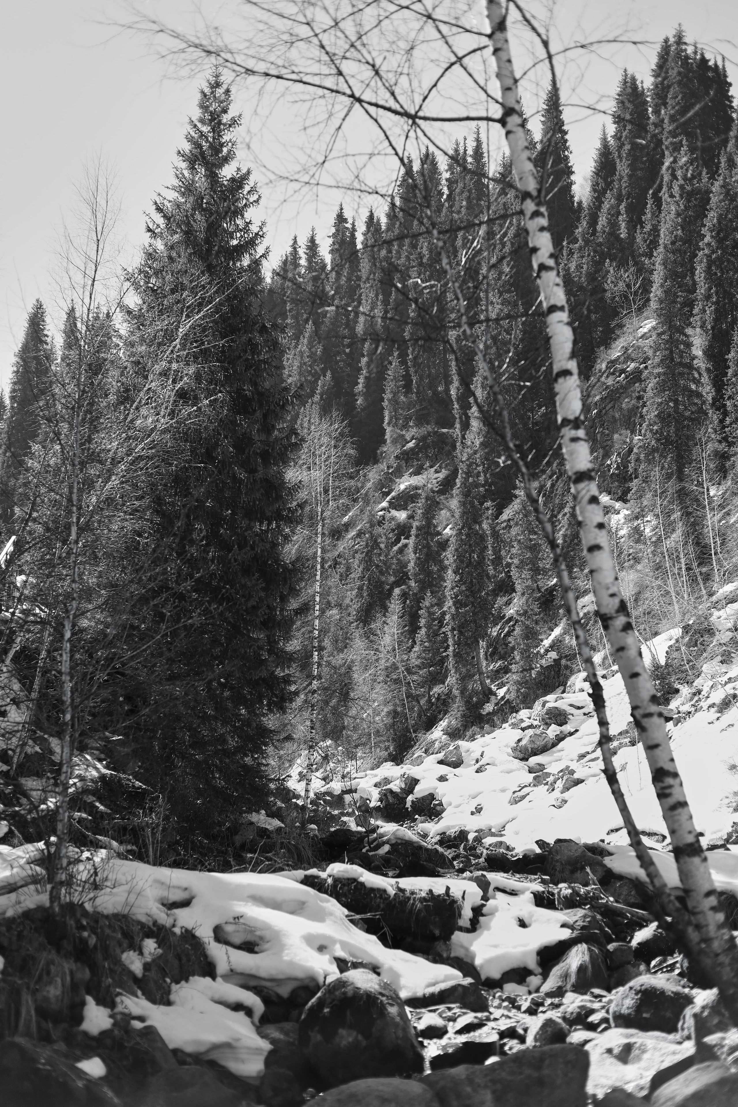 | Девичьи Слезы |. Фотограф |Алматы | Ruslan Zhadigerov