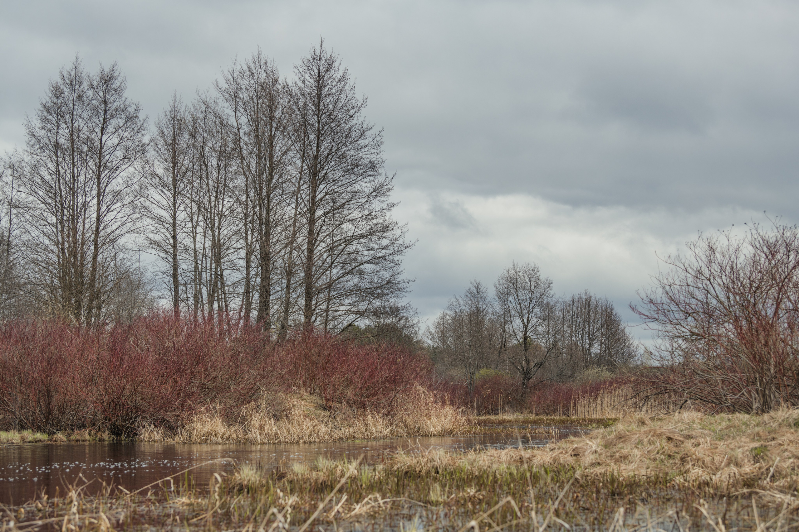 Разведка нового маршрута. Репортажный фотограф Владимир Беляй