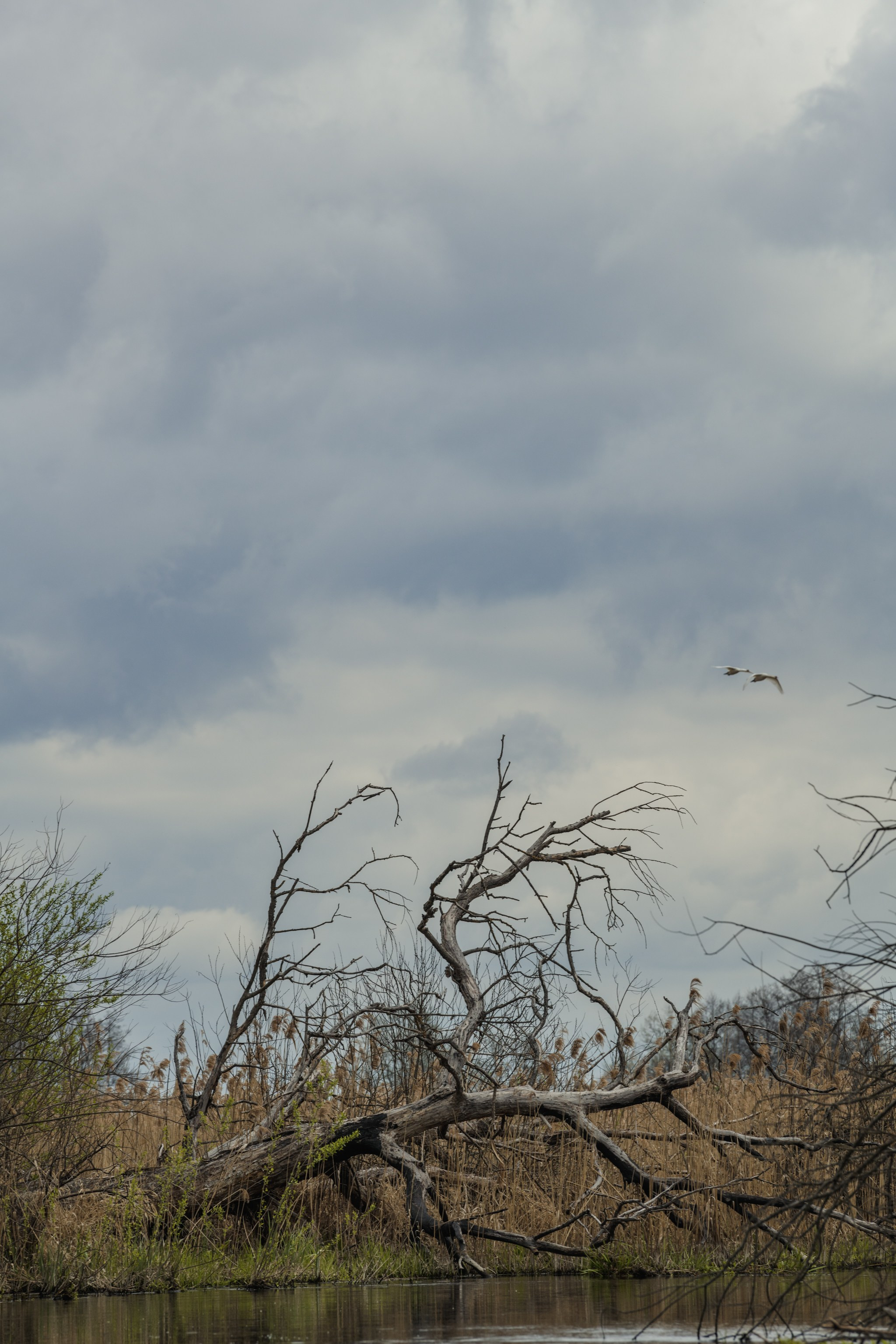 Водный поход 1-й кс по реке Случь. Репортажный фотограф Владимир Беляй