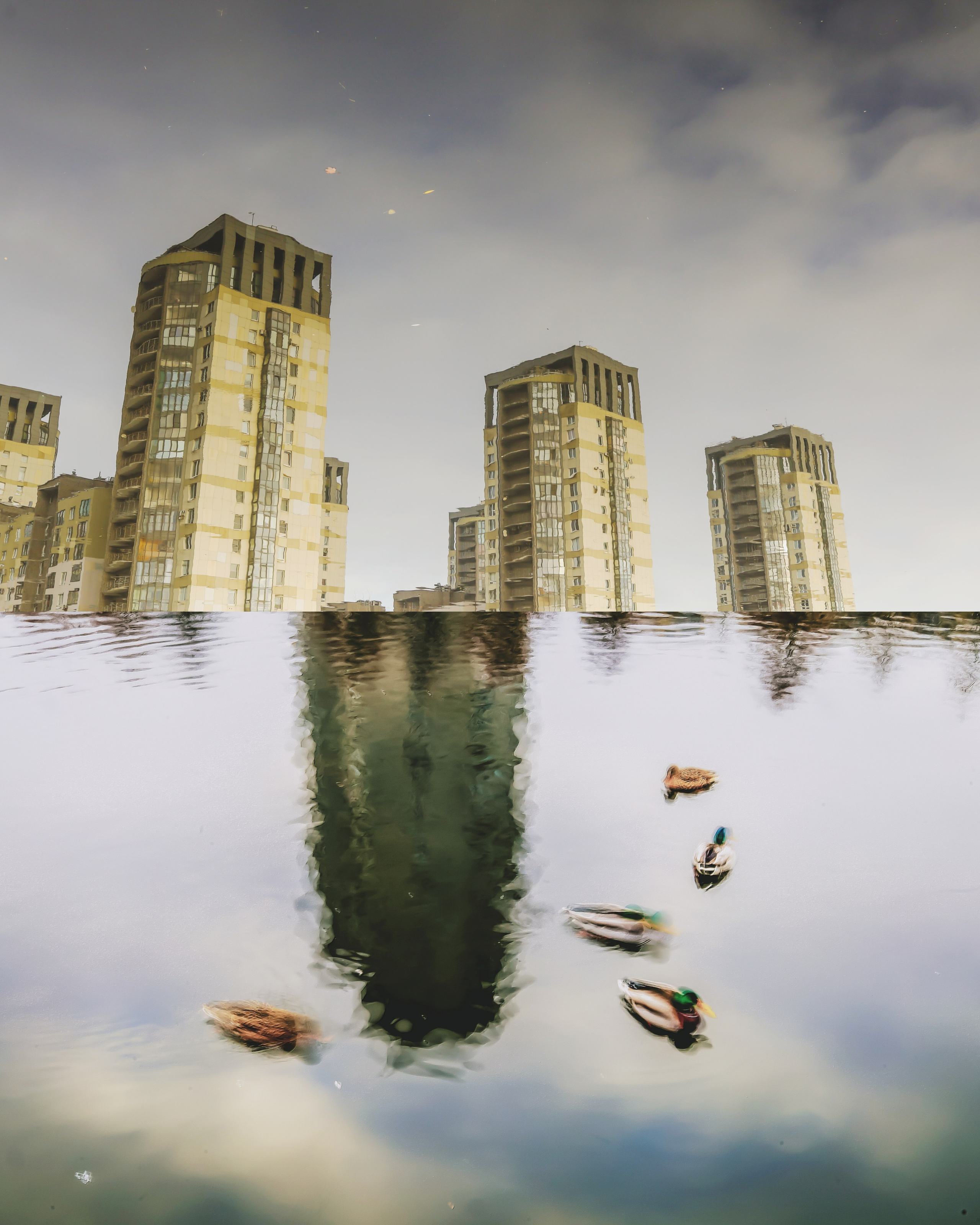 Пространства &. Фотохудожник в СПб