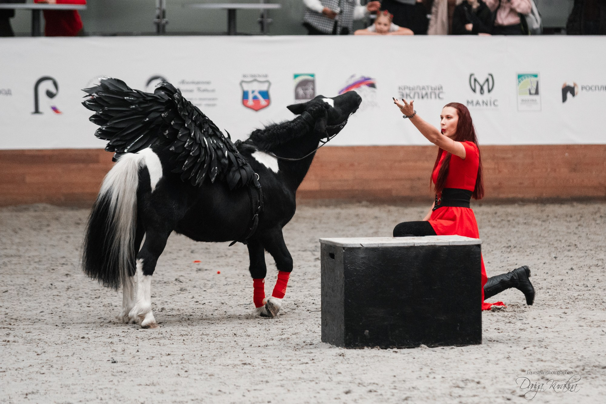 8-я международная выставка Конная Россия. Конный фотограф Куракина Дарья • Фотосессии с лошадьми
