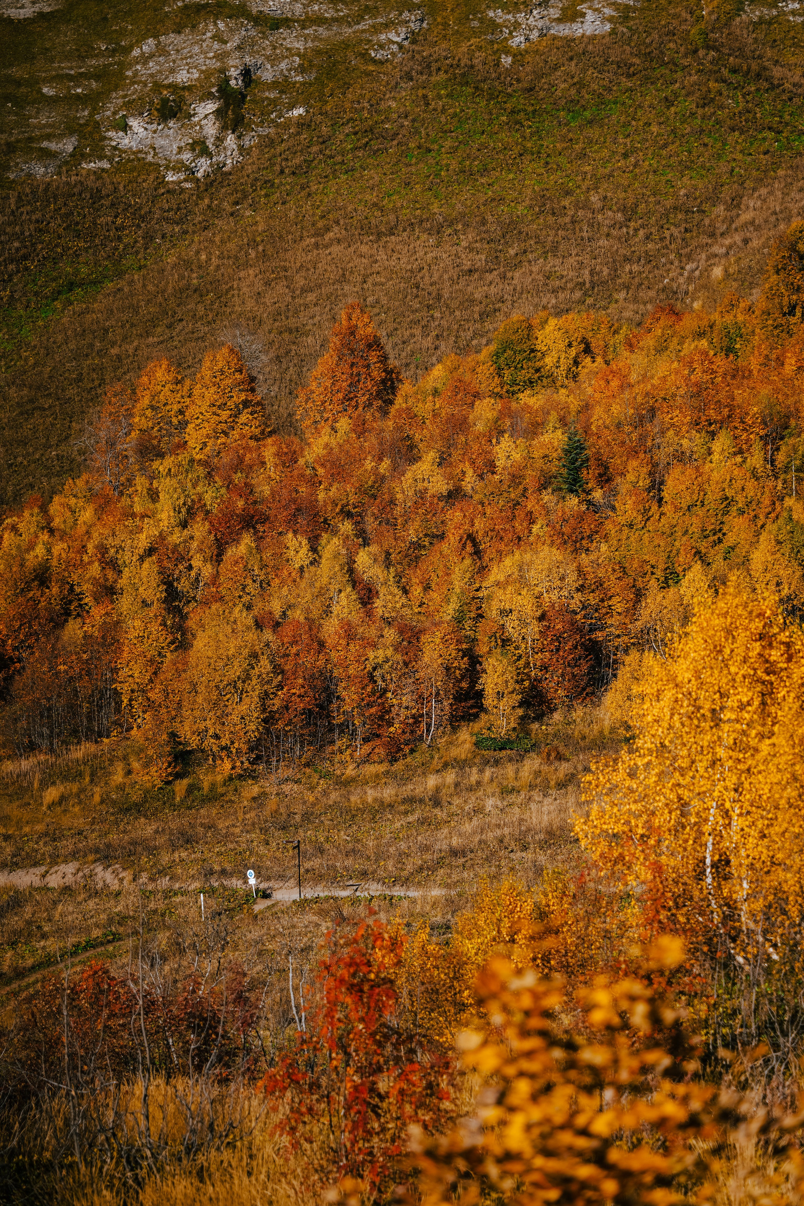 Роза Пик, тропа Турья ✽ Октябрь. Репортажный фотограф | Роза Хутор Красная Поляна Сочи Сириус
