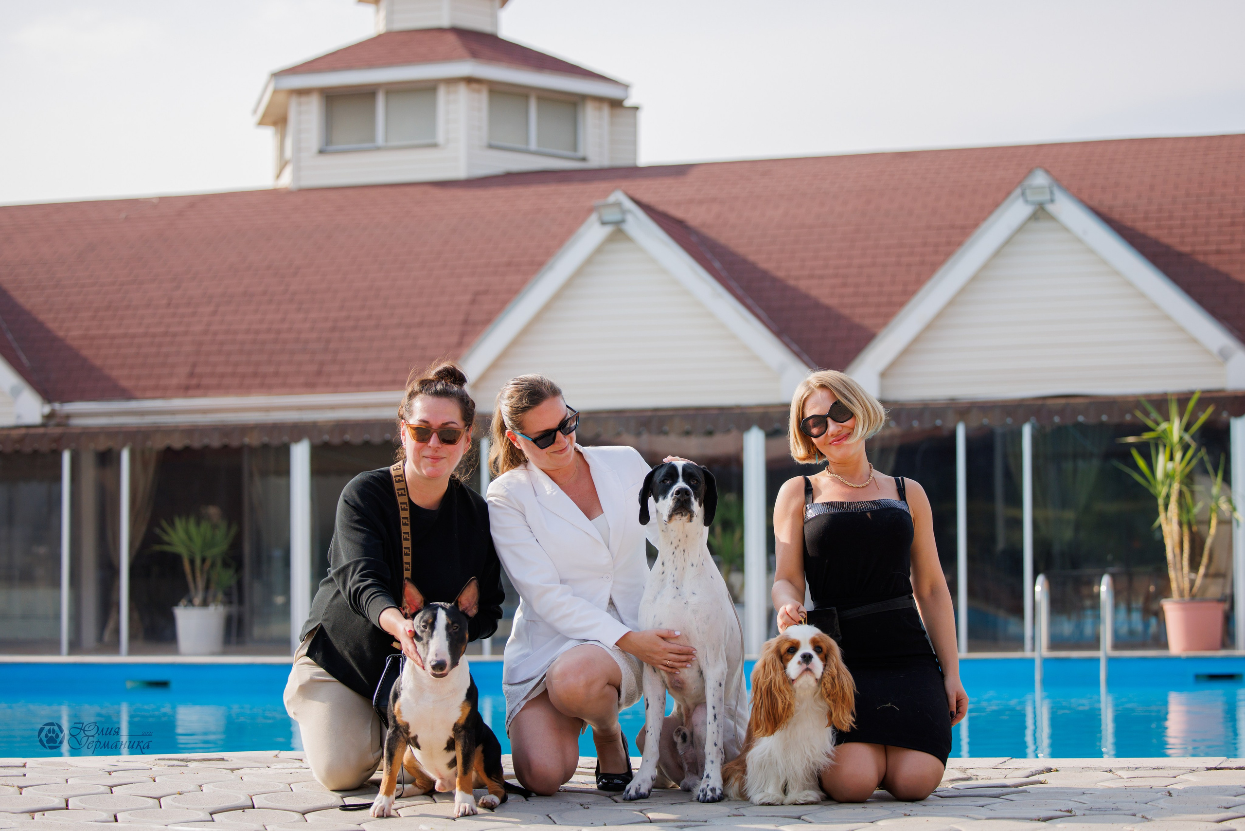 Армения,Ереван 3хCACIB 15-17.10.2024. Фотограф-анималист Юлия Германика