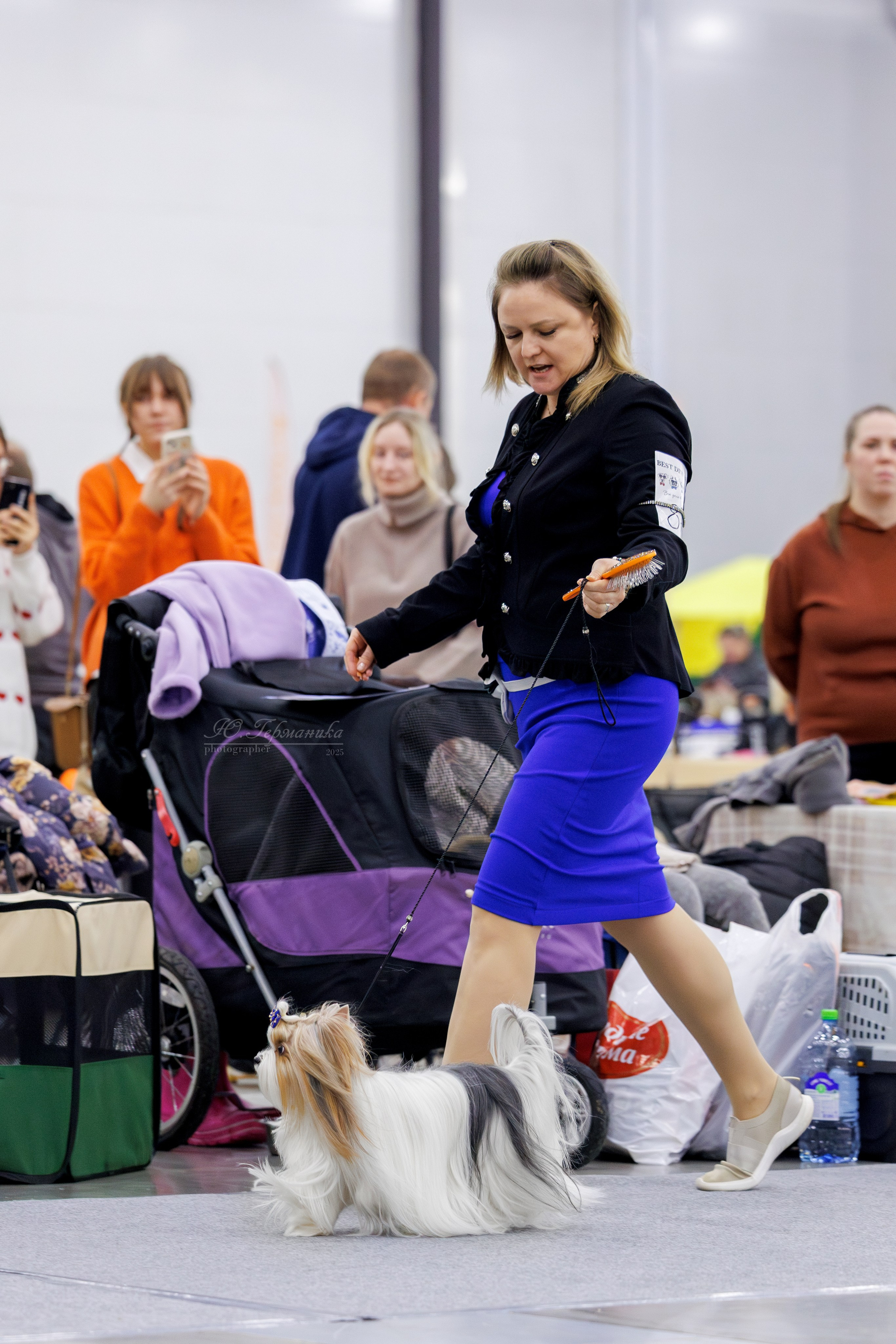 Питер 12-13.12.2025. Фотограф-анималист Юлия Германика