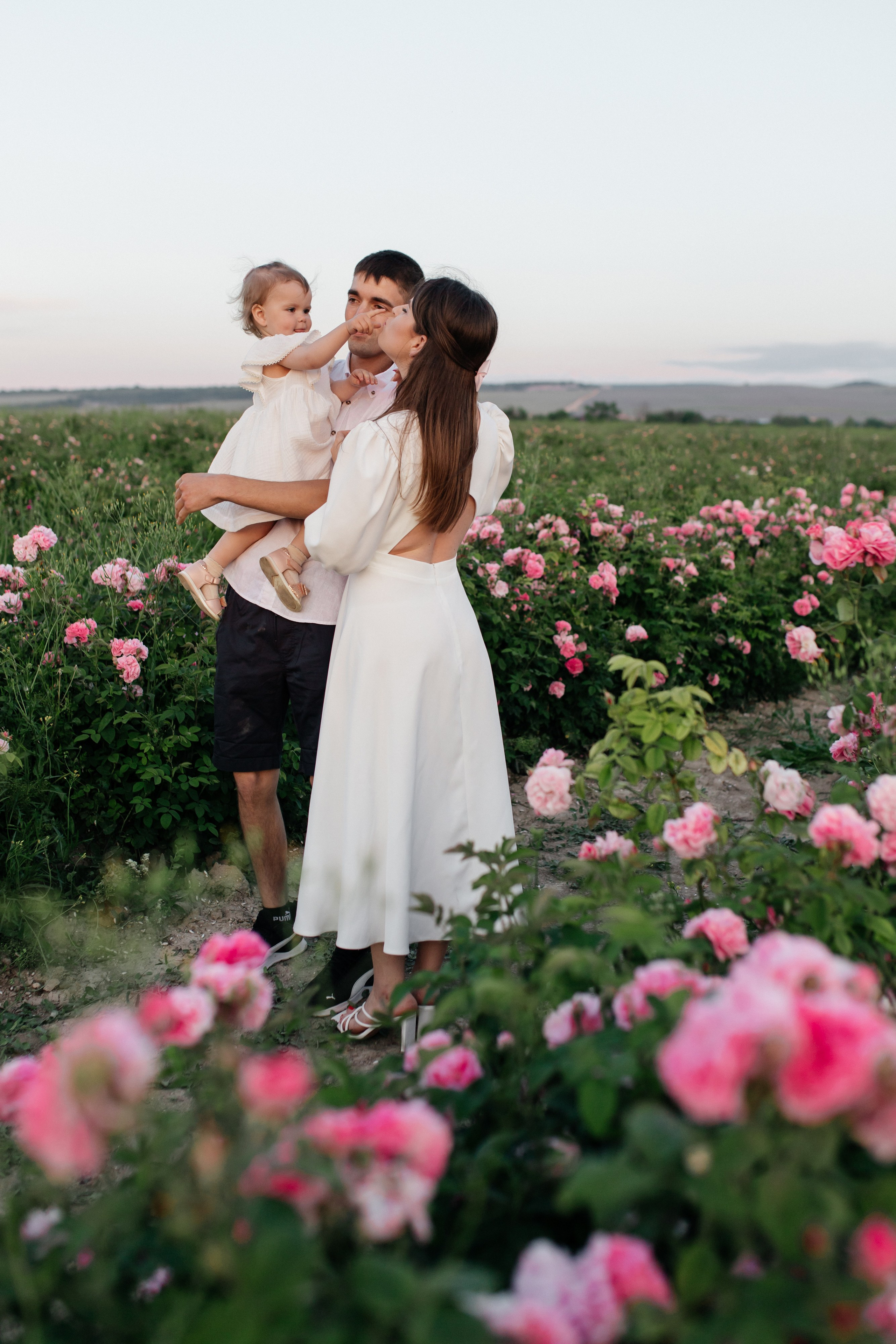 Rose. ФОТОГРАФ