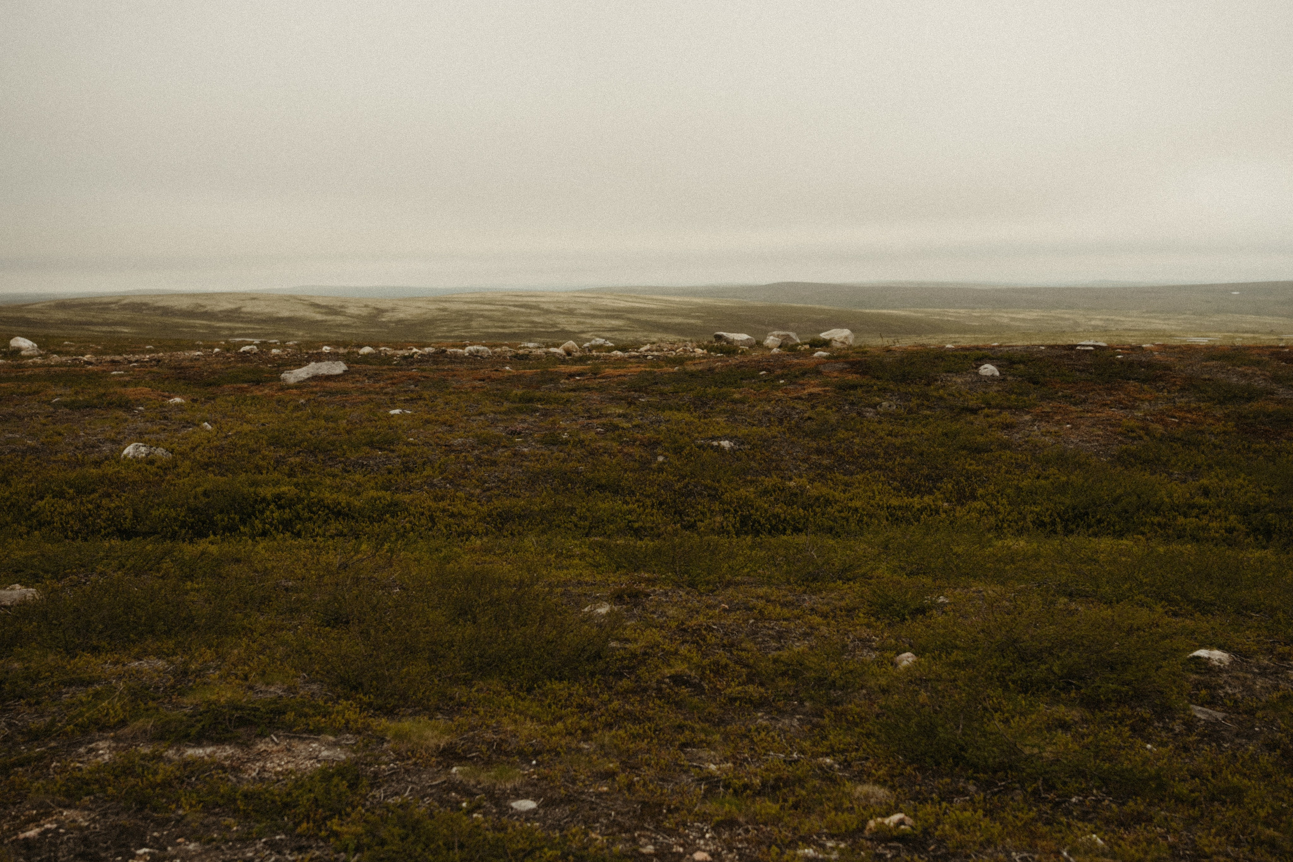 Териберка. Семейный фотограф в Мурманске Екатерина Юшкова