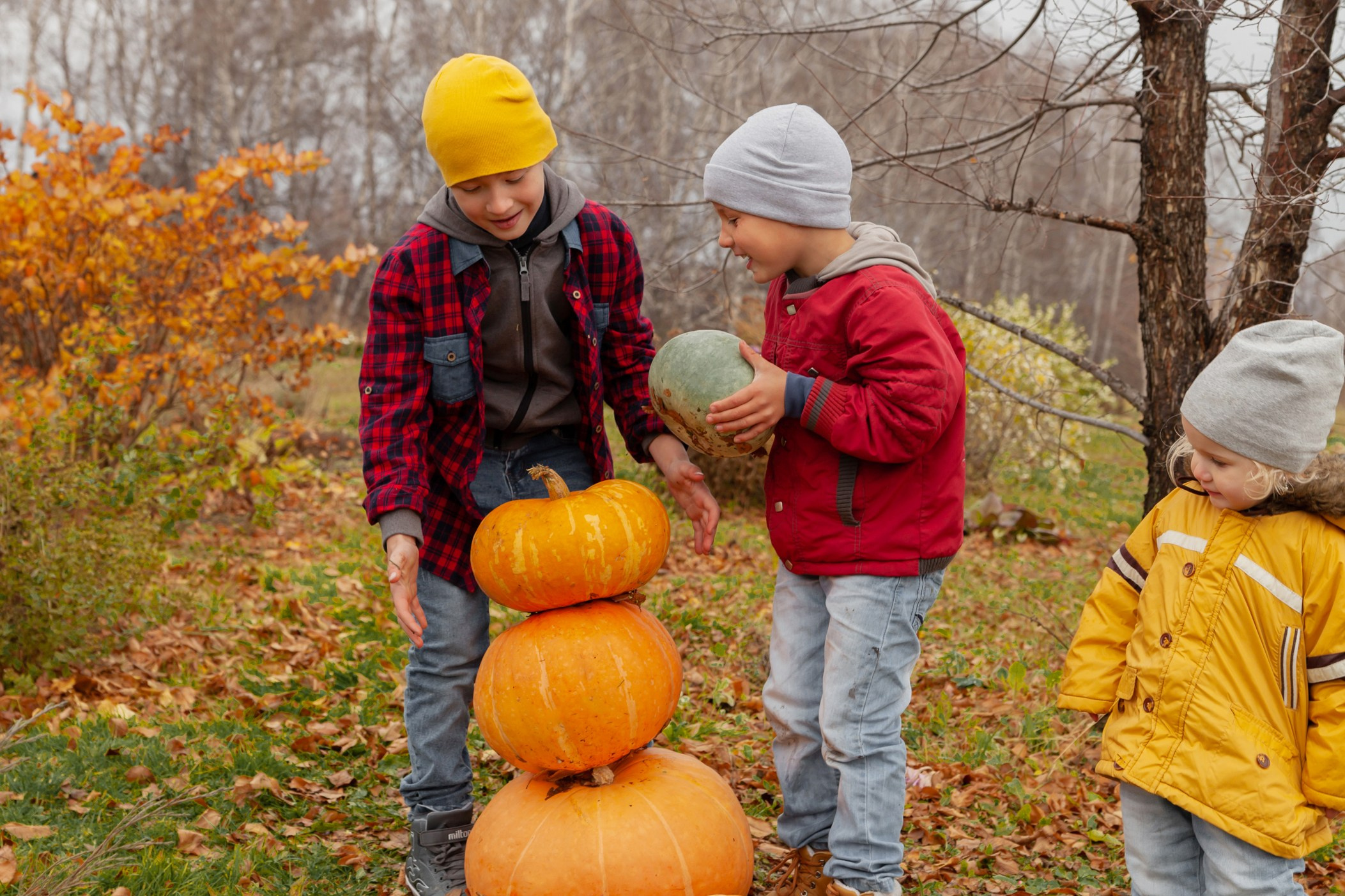 Осень. Детский и семейный фотограф в Бердске и Новосибирске Дарья Гребнева