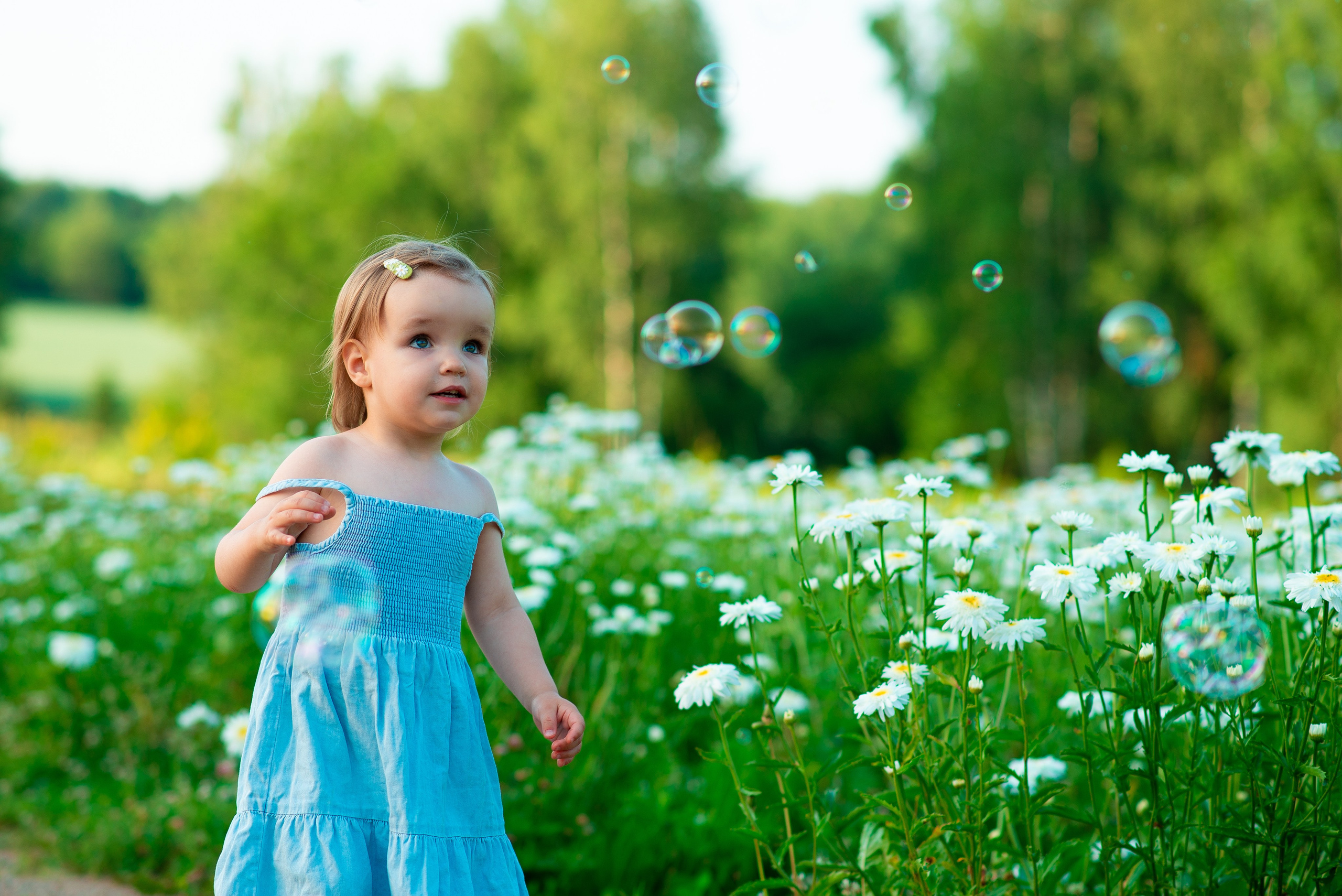 Вероника с семьей в ромашках. Семейный фотограф на выписку из роддома и крещение Минск Настя Гришук