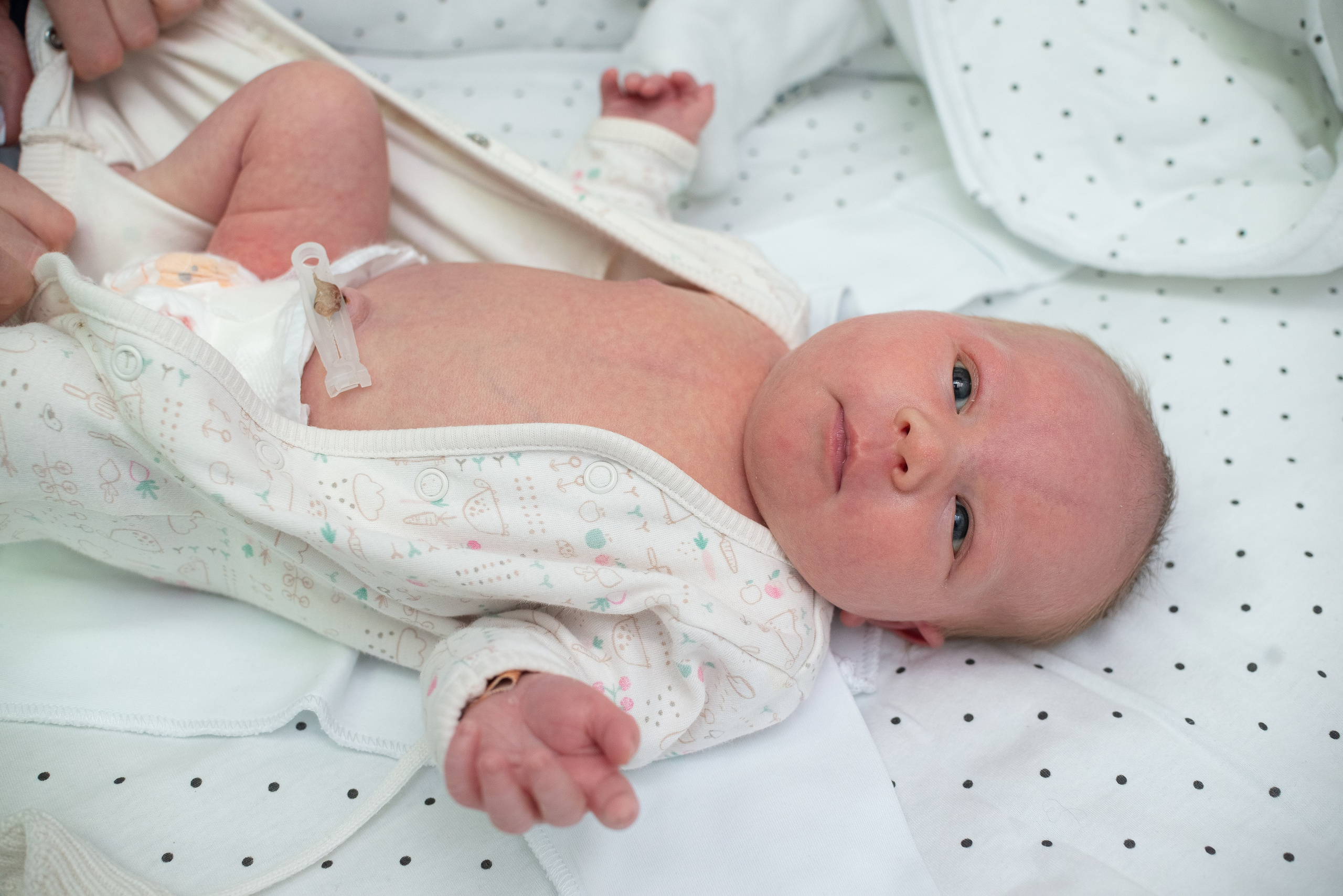 Выписка Машеньки 3РД. Семейный фотограф на выписку из роддома и крещение Минск Настя Гришук